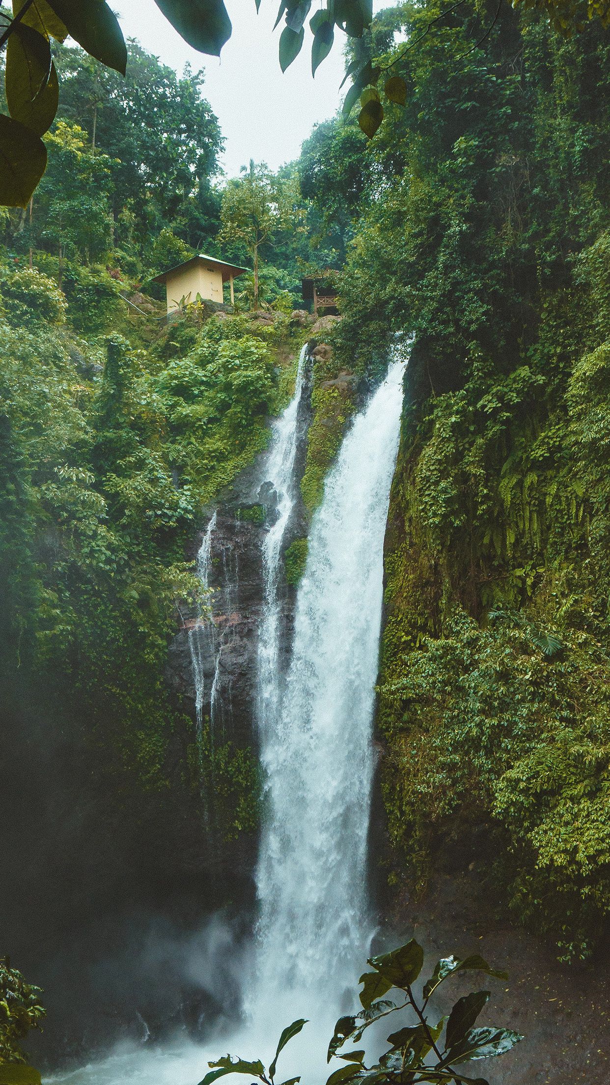 Waterfall Summer Forest River