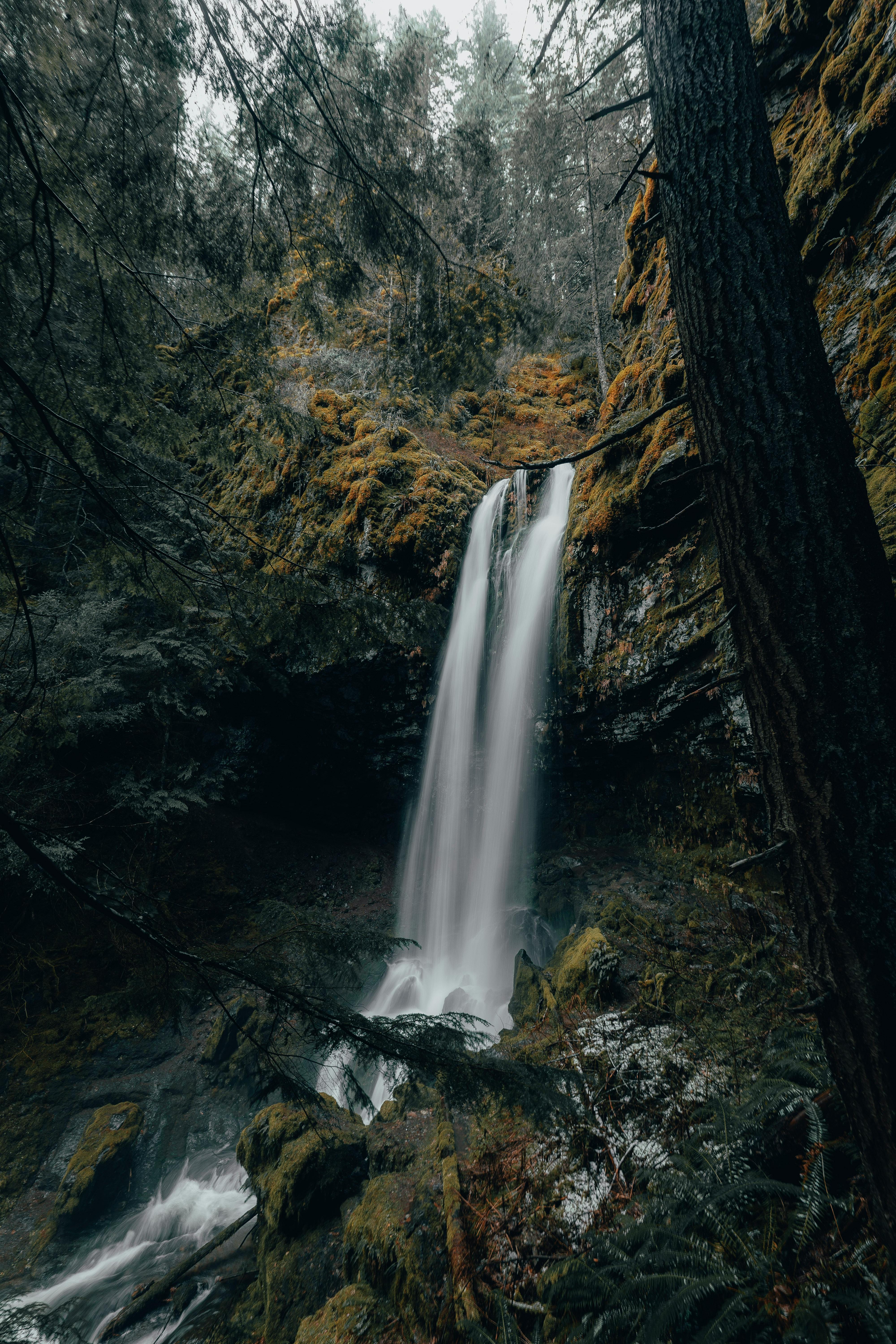 Waterfall in Forest · Free