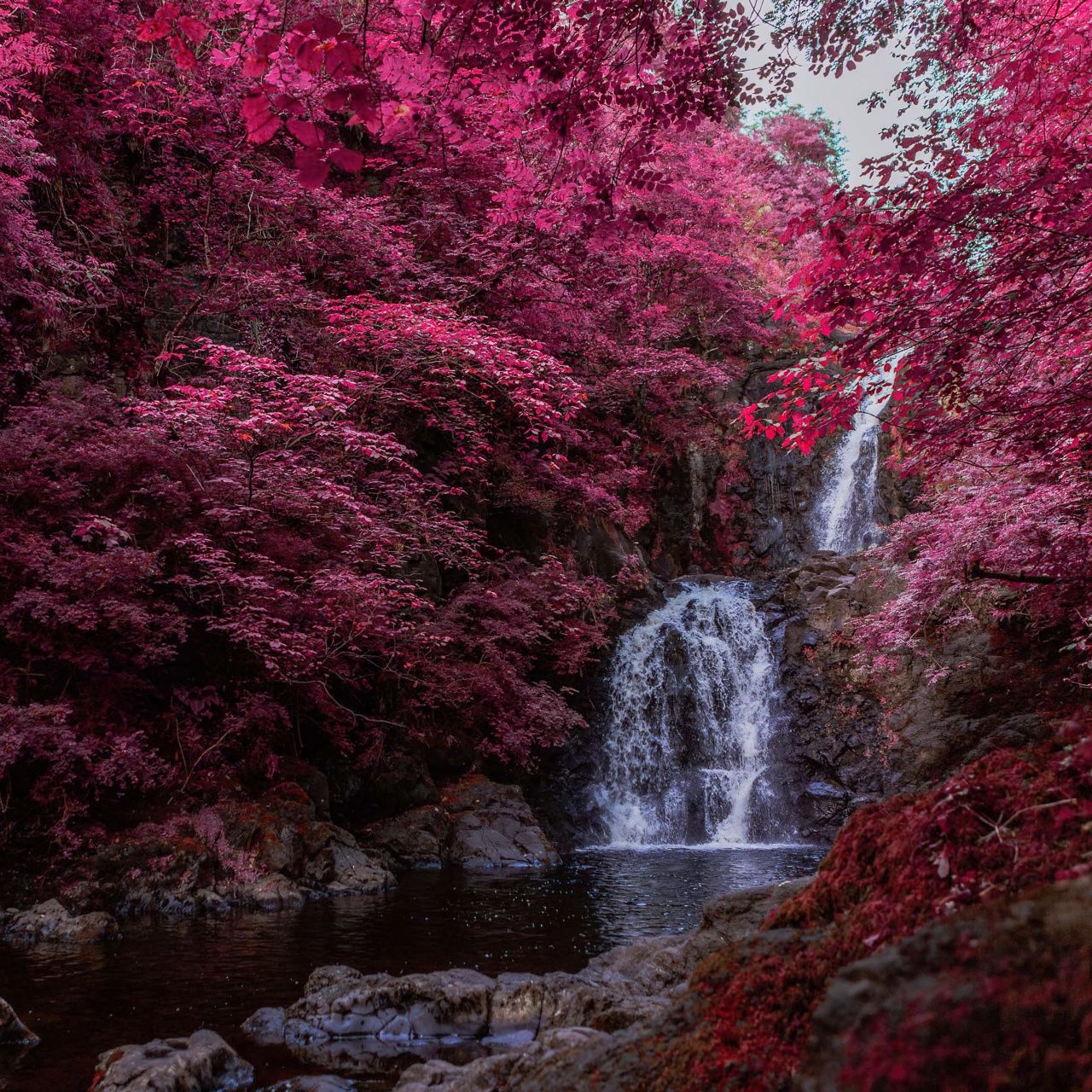 Waterfall Wallpaper 4K, Pink aesthetic