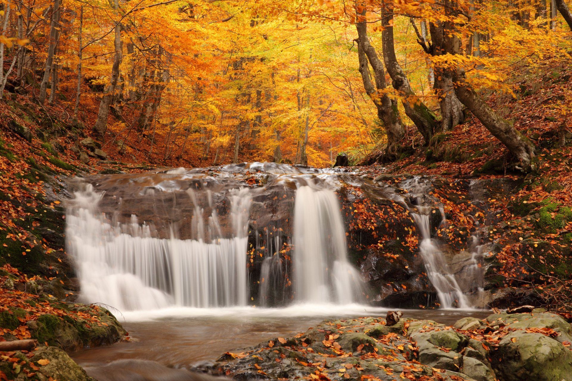 Serene Waterfall: A 4K Ultra HD Nature