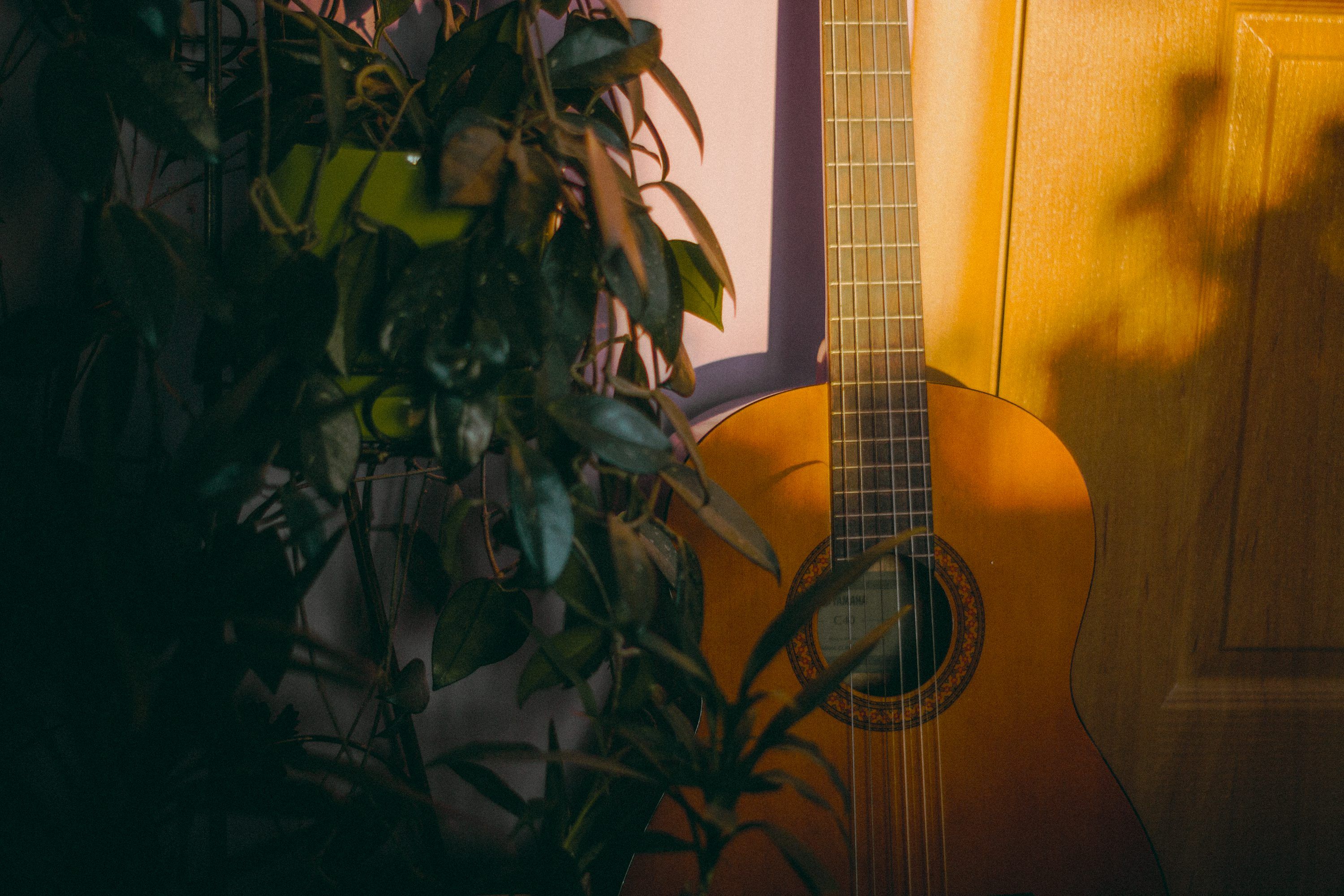 Classical Guitar Picture