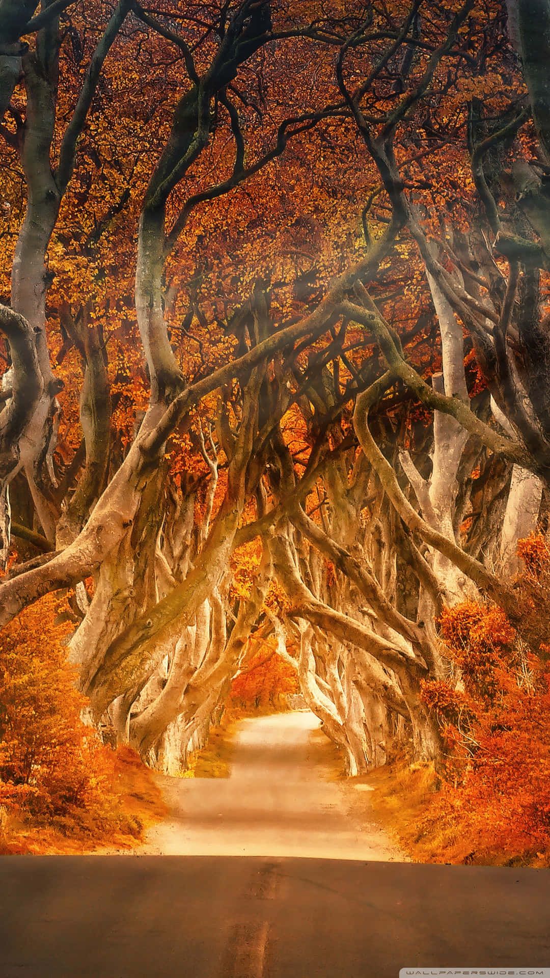 Vintage Autumn Wallpaper