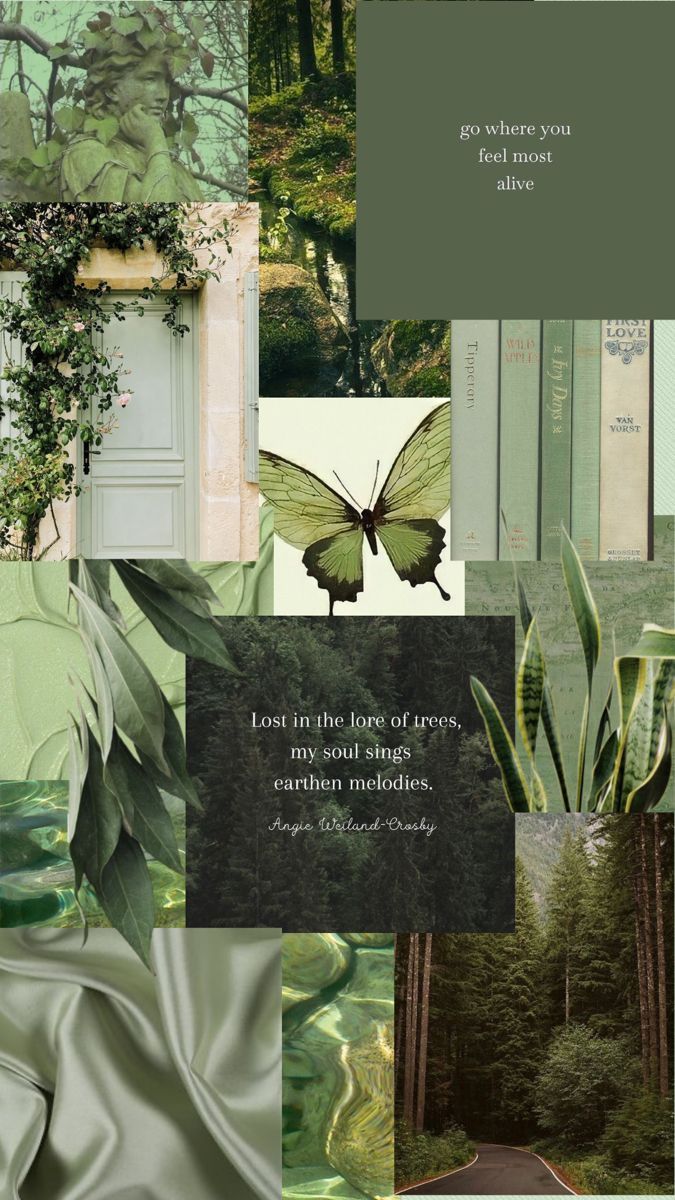 Sage Green Earthy Aesthetic Wallpaper