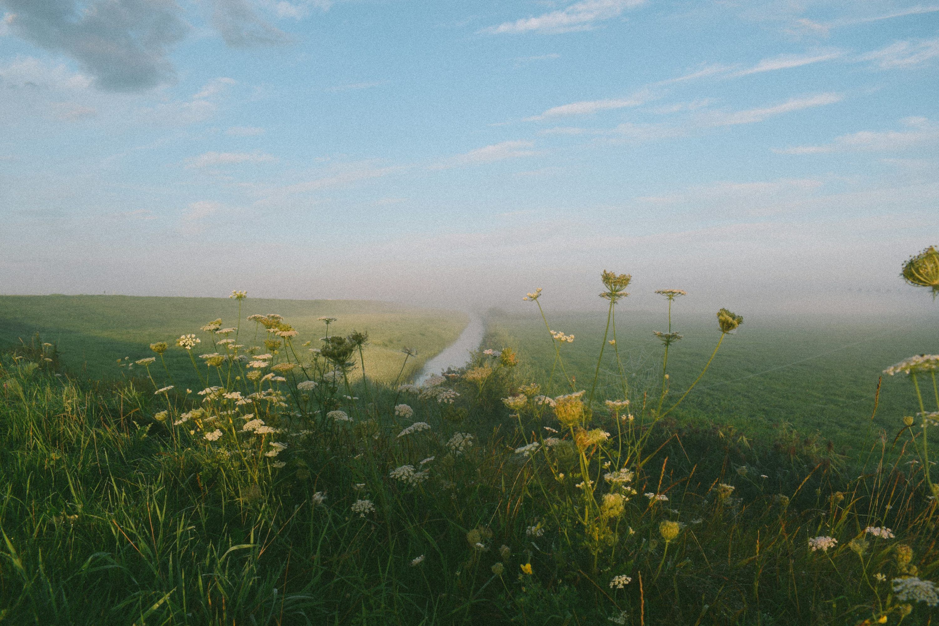 Green Aesthetic Picture. Download Free Image
