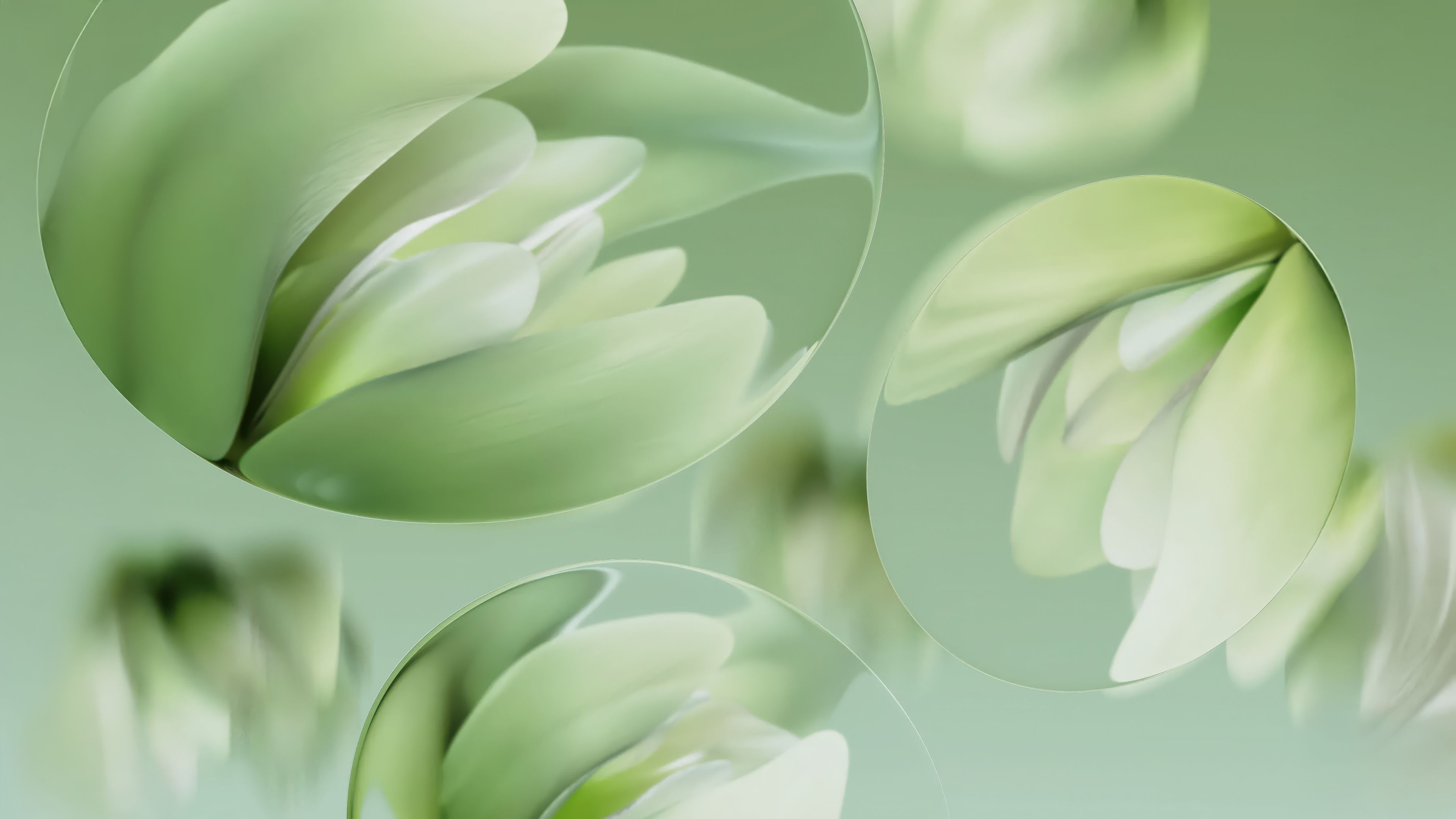 Water lilies Wallpaper 4K, Abstract art, Green aesthetic