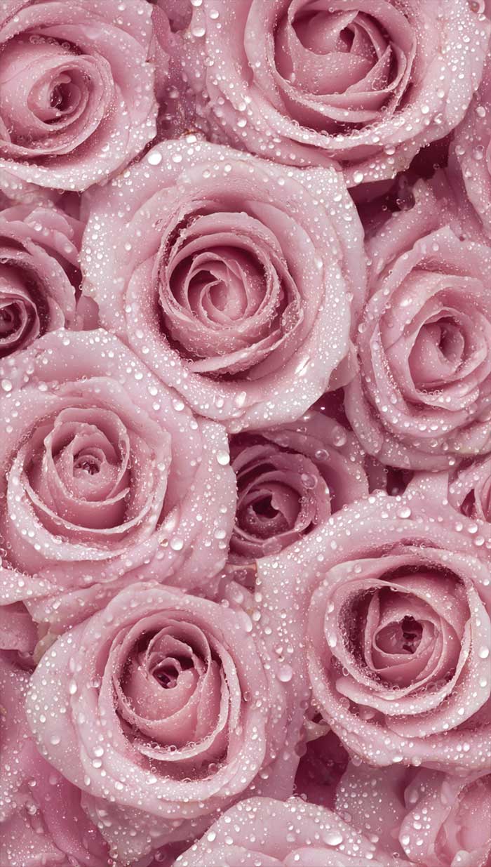 Ideas of Aesthetic Floral Wallpaper for iPhone
