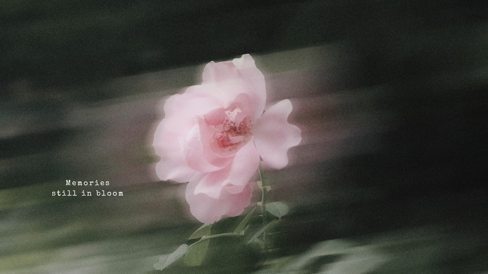 pastel desktop wallpaper