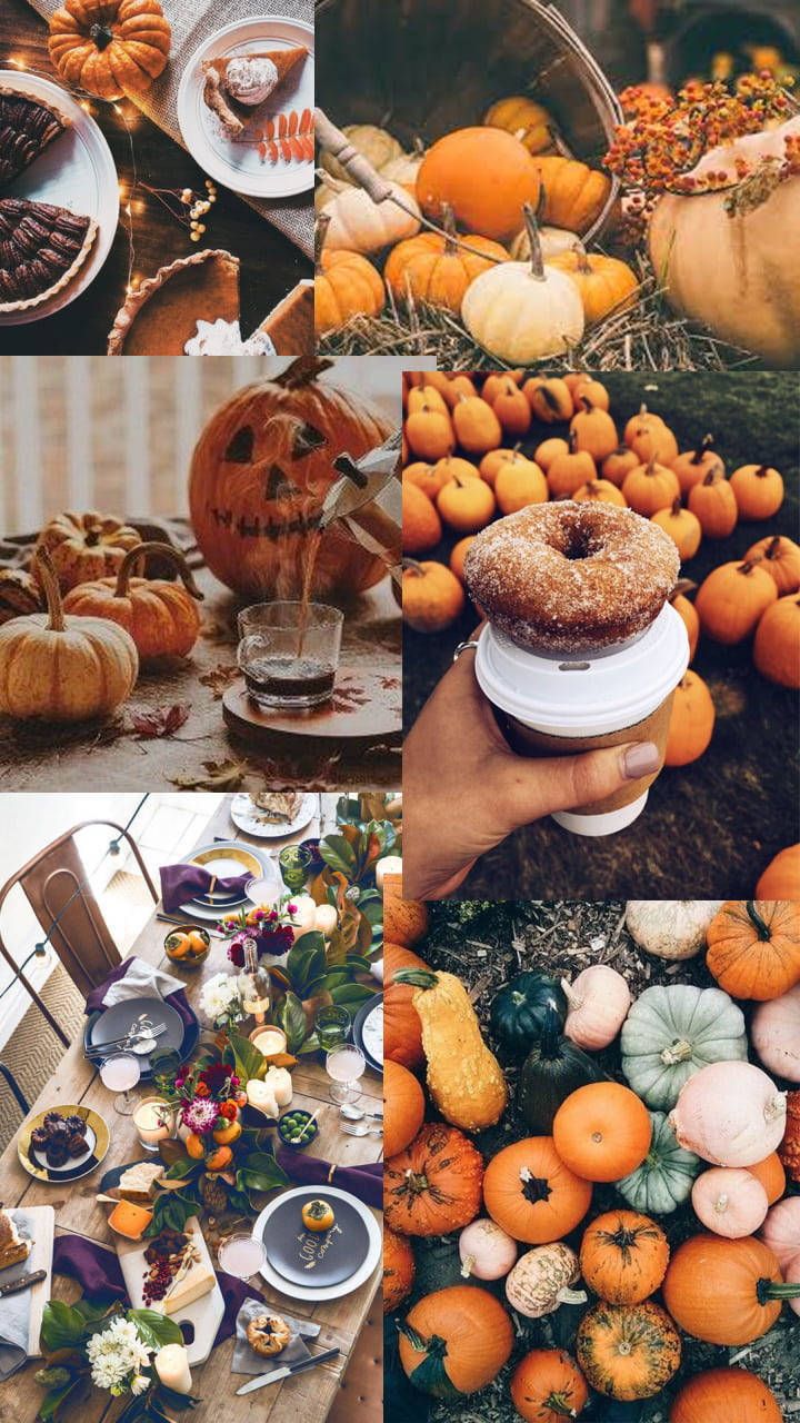 Thanksgiving Collage Preppy Wallpaper