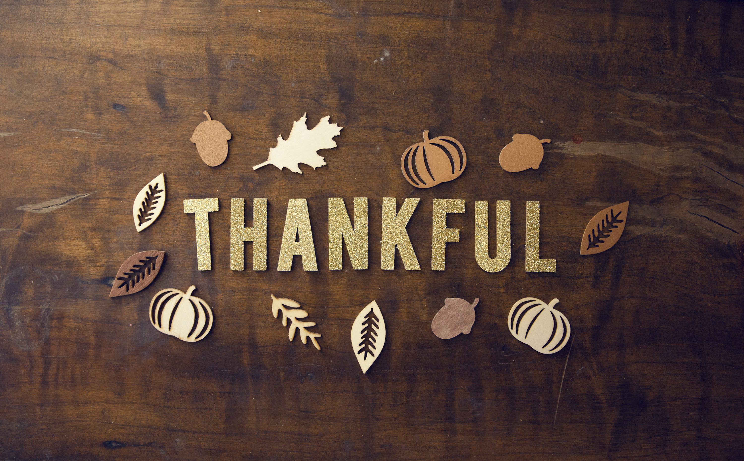 Thanksgiving Wallpaper: Free HD Download [4K]