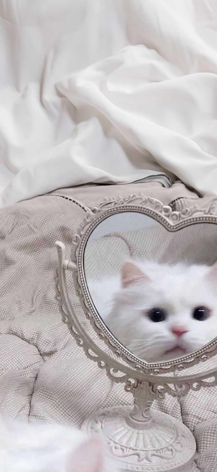 cat wallpaper aesthetic cute