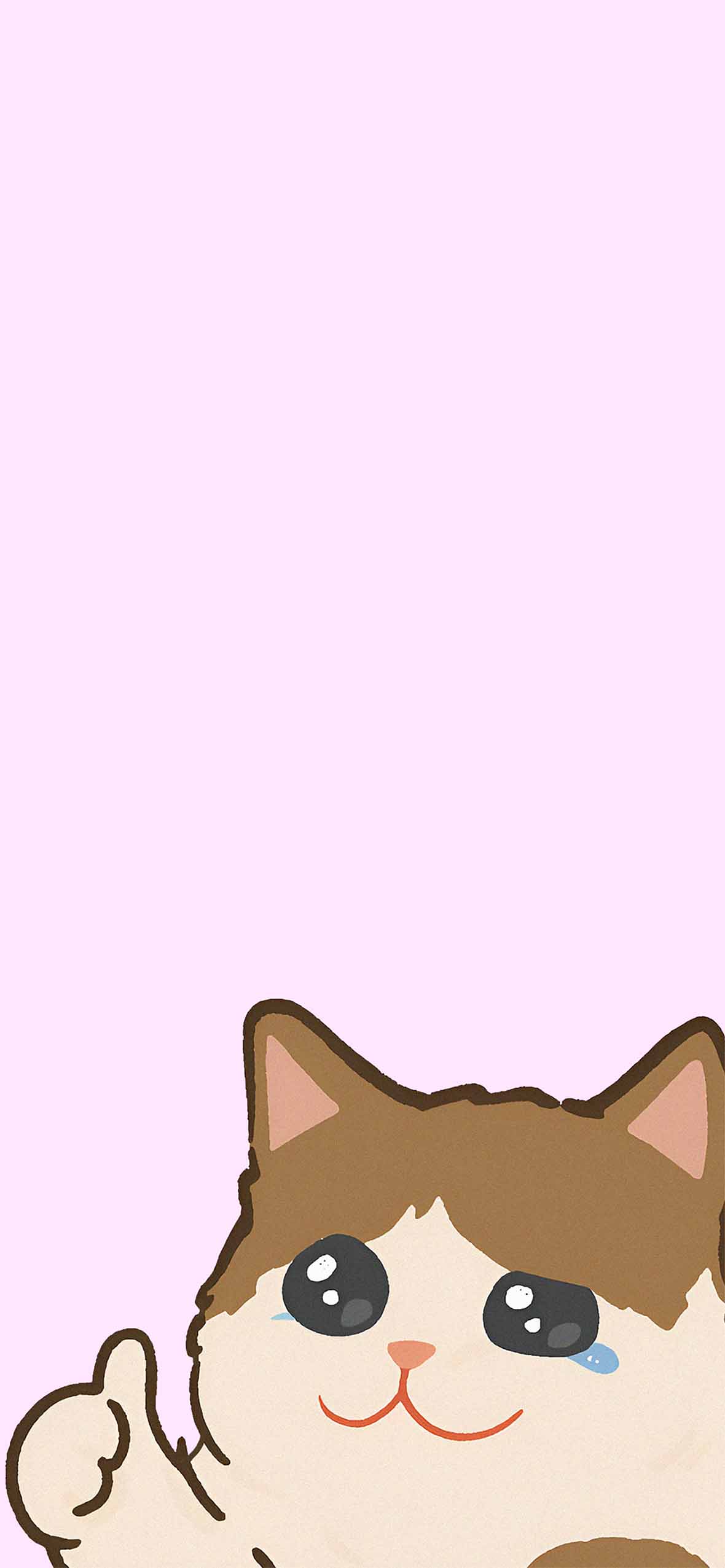 Cute Cat Meme Wallpaper Animals Wallpaper iPhone
