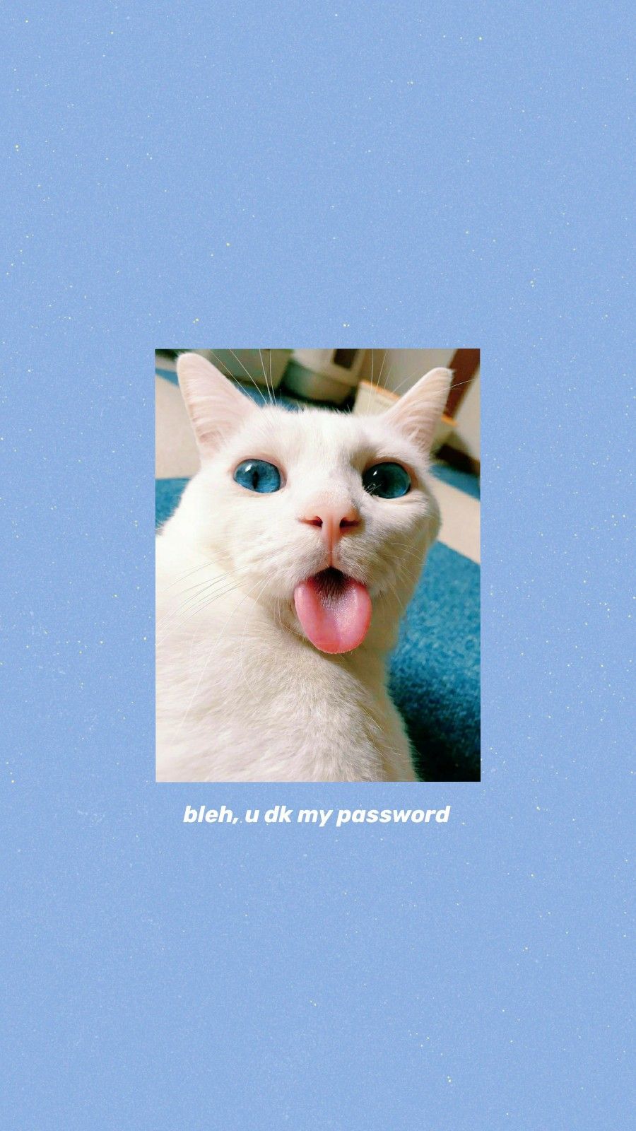 Cat Phone Aesthetic Wallpaper