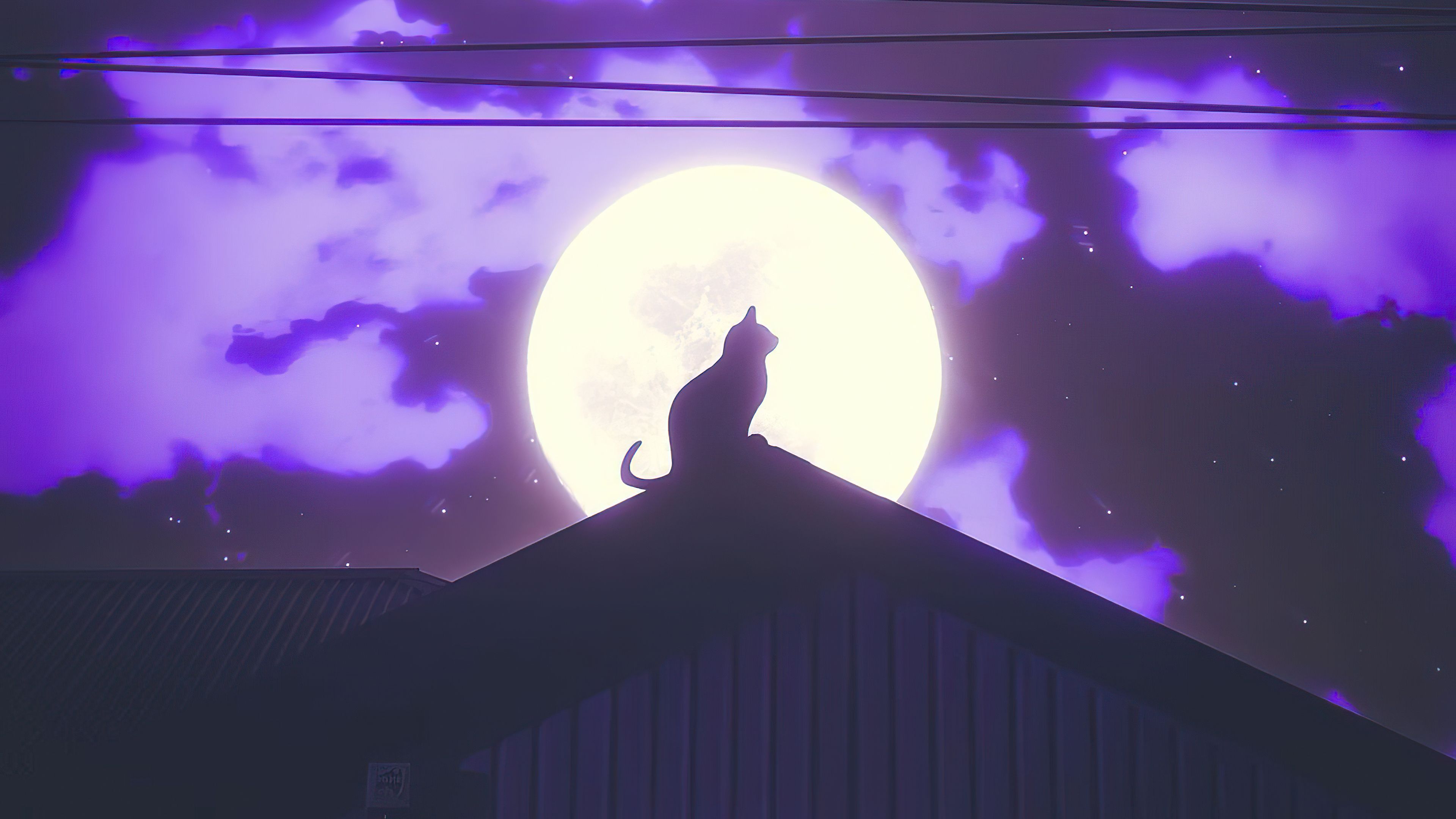 Cat Rooftop Silhouette Wallpaper, HD Artist Wallpaper, 4k Wallpaper, Image, Background, Photos and Picture