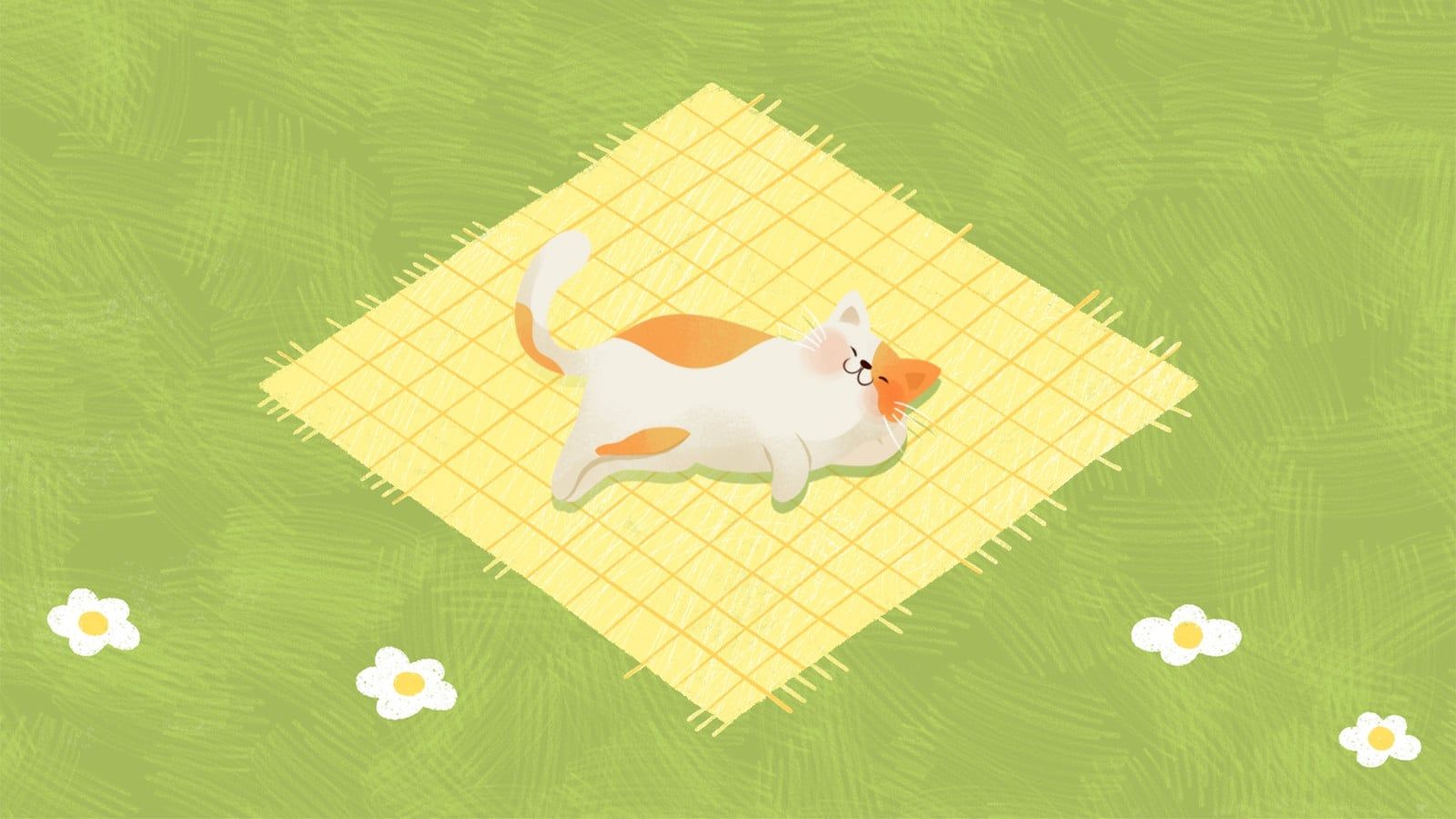 Cat Desktop Wallpaper Online