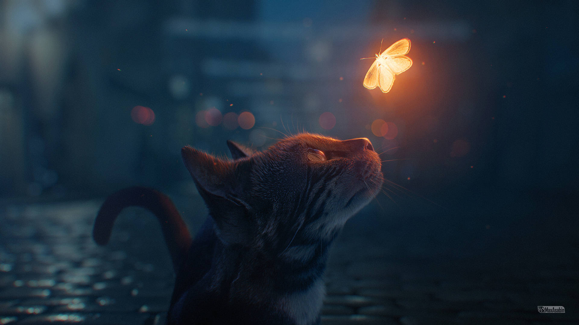 Download Aesthetic Cat With Butterfly Wallpaper