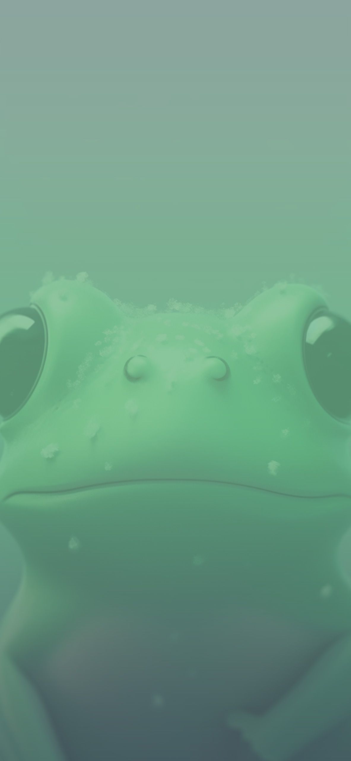 Green Frog Aesthetic Wallpaper Frog Wallpaper for iPhone