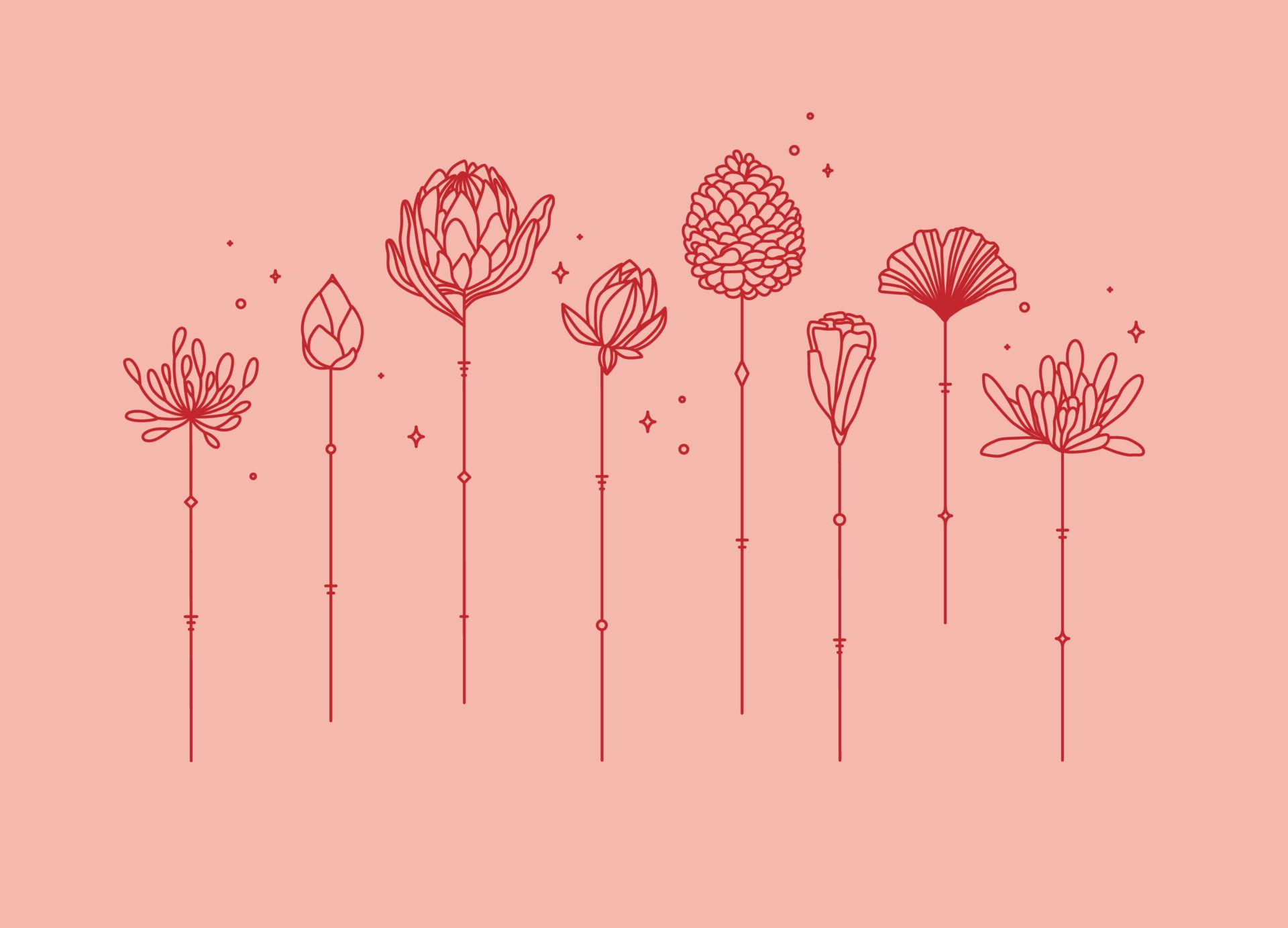 Flowers long stem drawing in art deco style on coral background