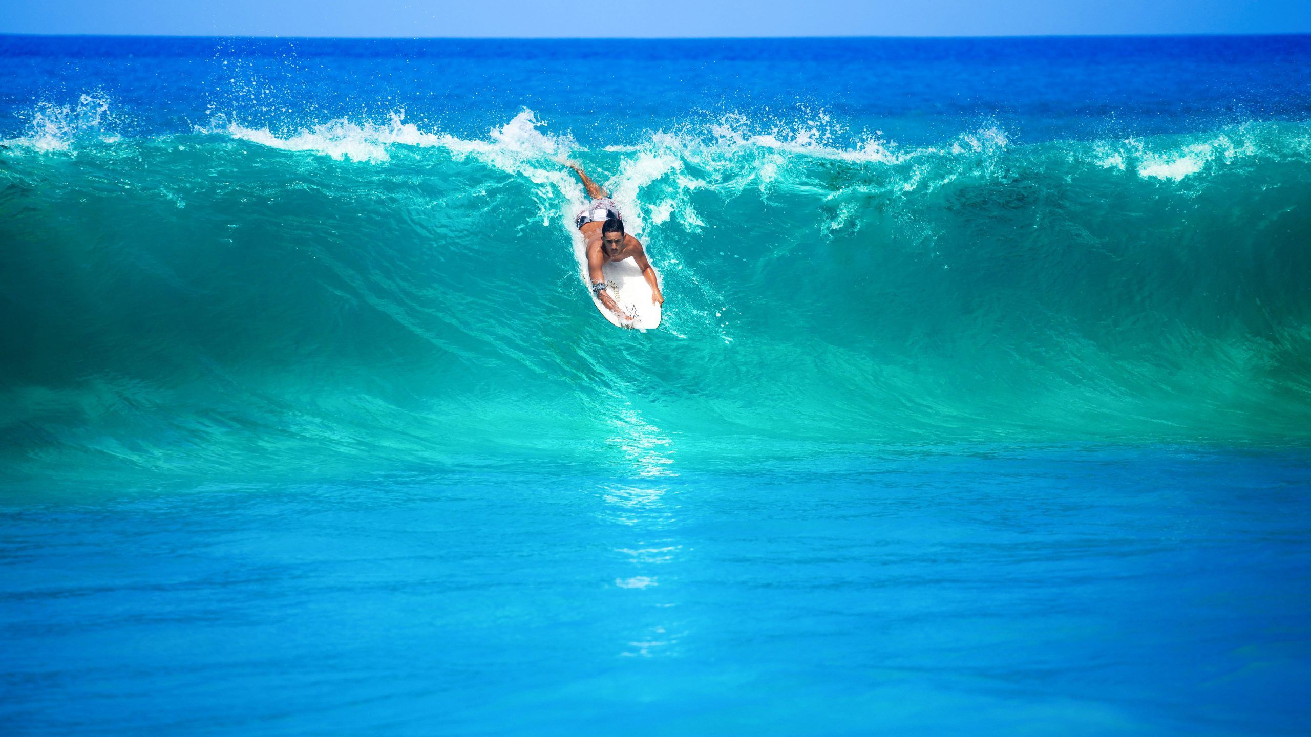 A surfer rides a wave in the bright blue ocean. - Surf