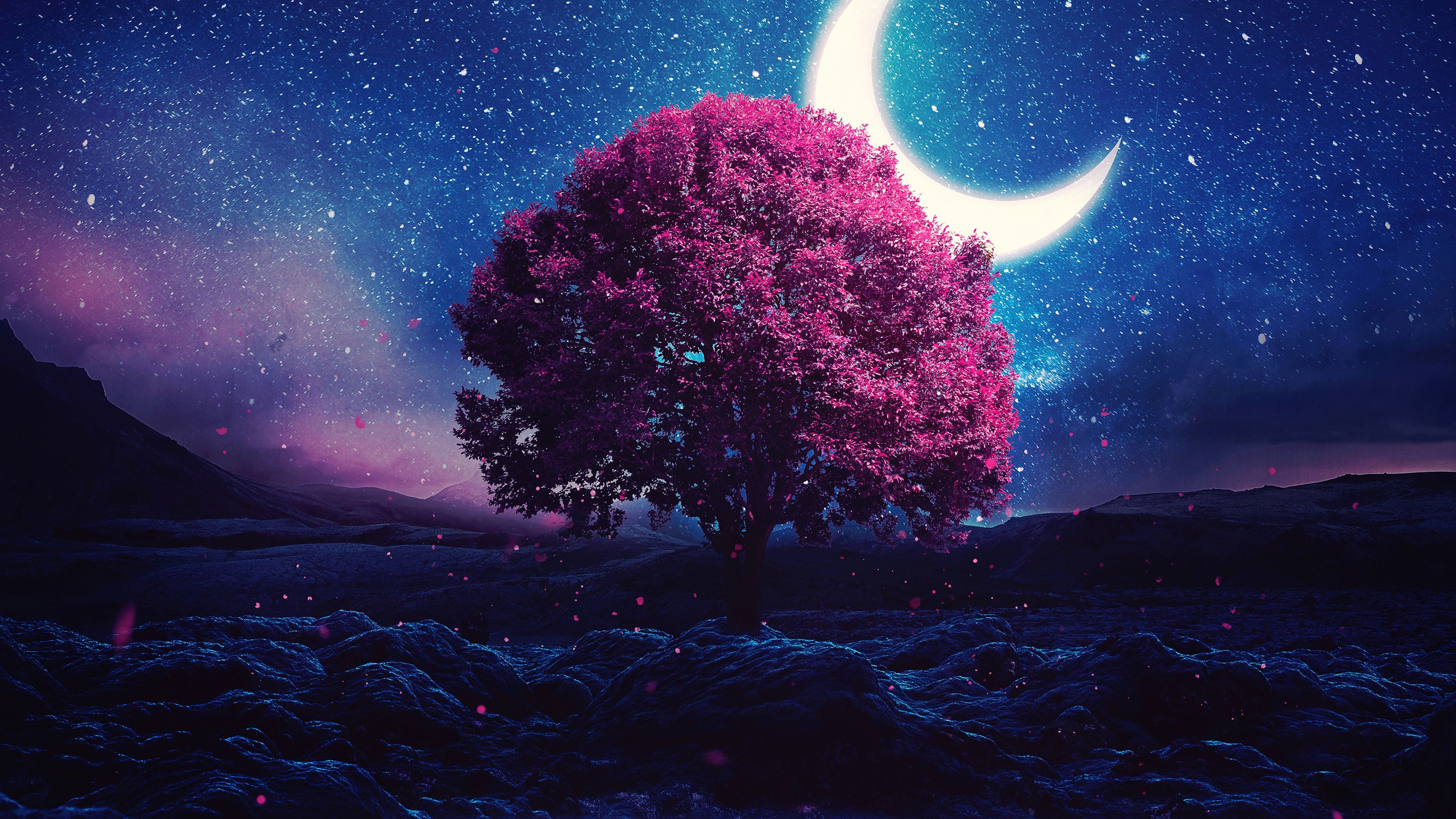 Aesthetic Wallpaper 4K, Lone tree, Crescent Moon