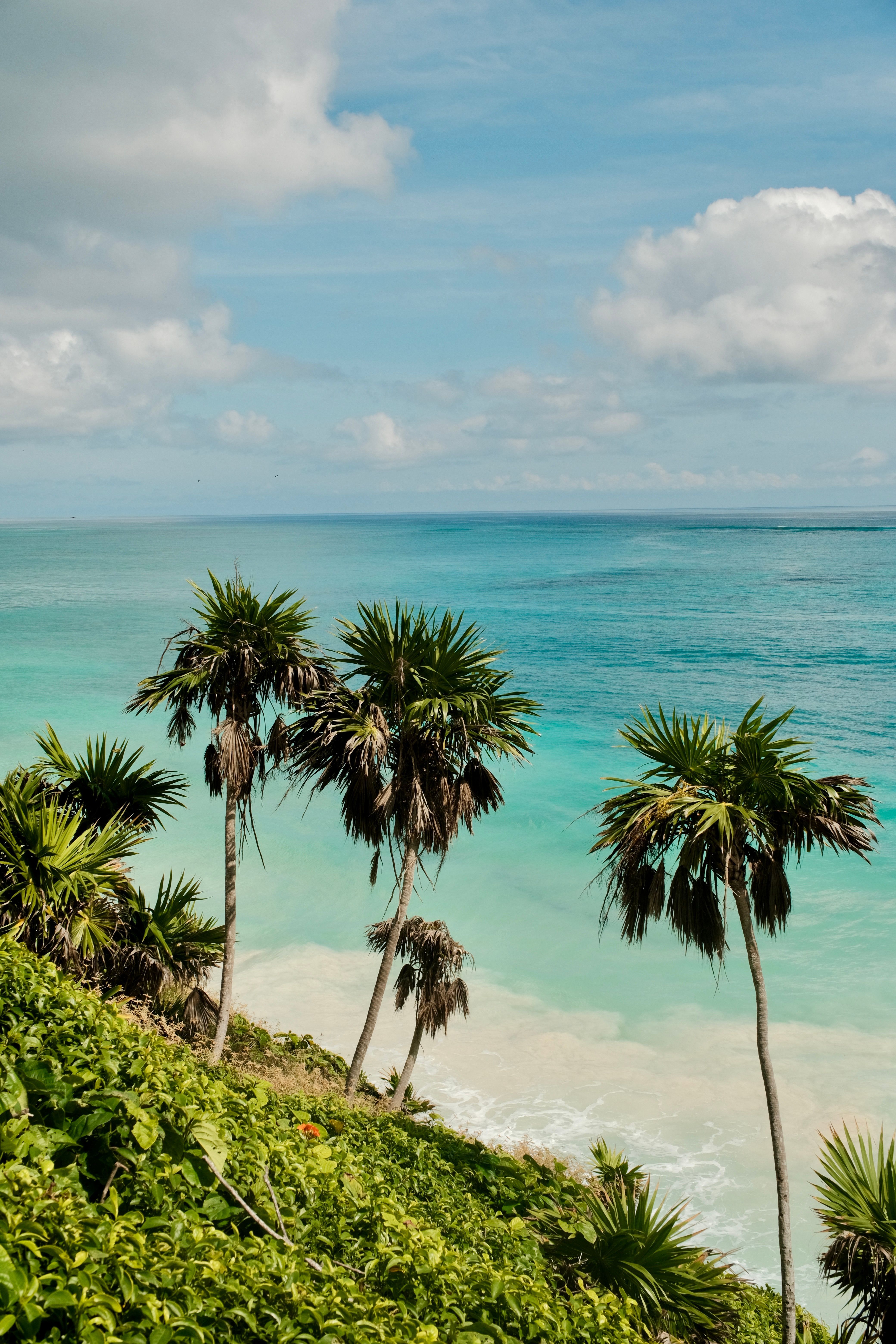 Scenic View of Caribbean Beach in Tulum · Free