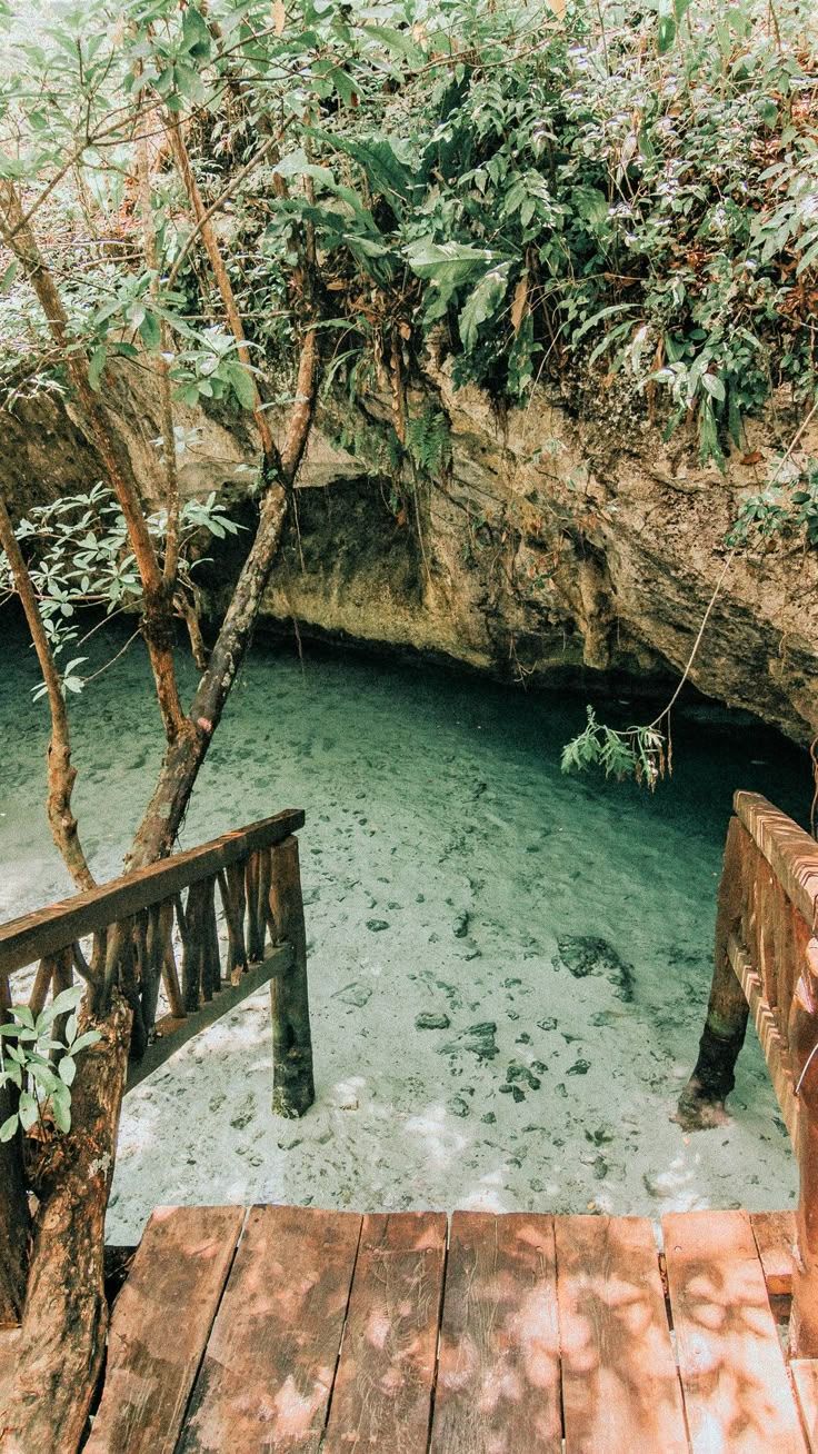 Grand Cenote In Tulum, Mexico