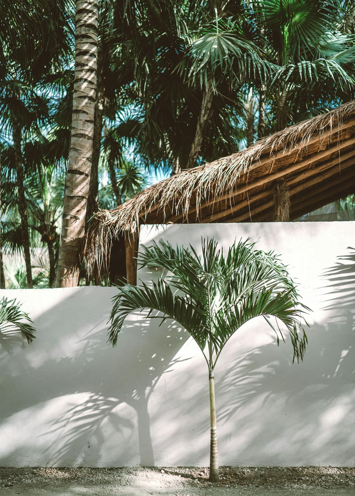 The Weekend Getaway Guide to Tulum, Mexico: The Prettiest Travel Spot This Side of Bali