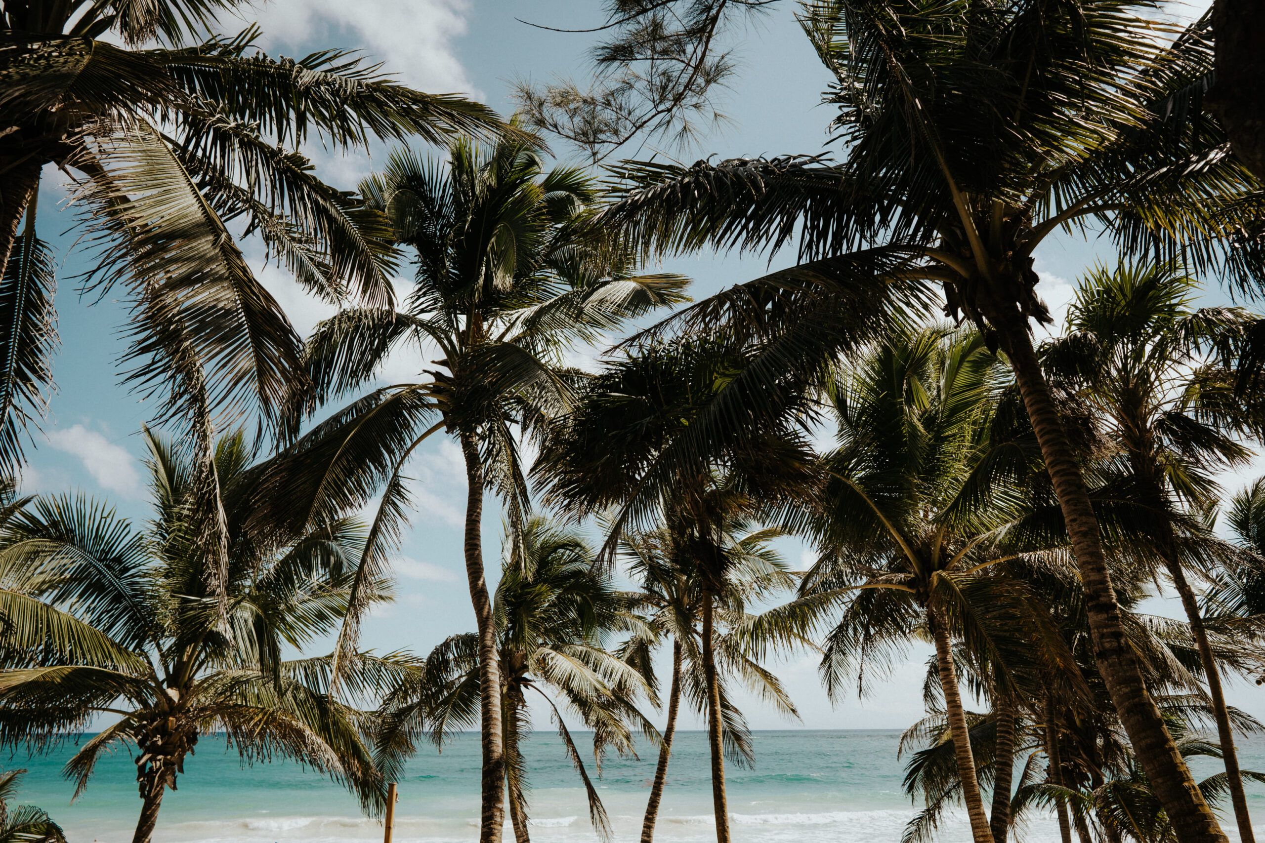 Book Tulum Luxury Villas Rentals