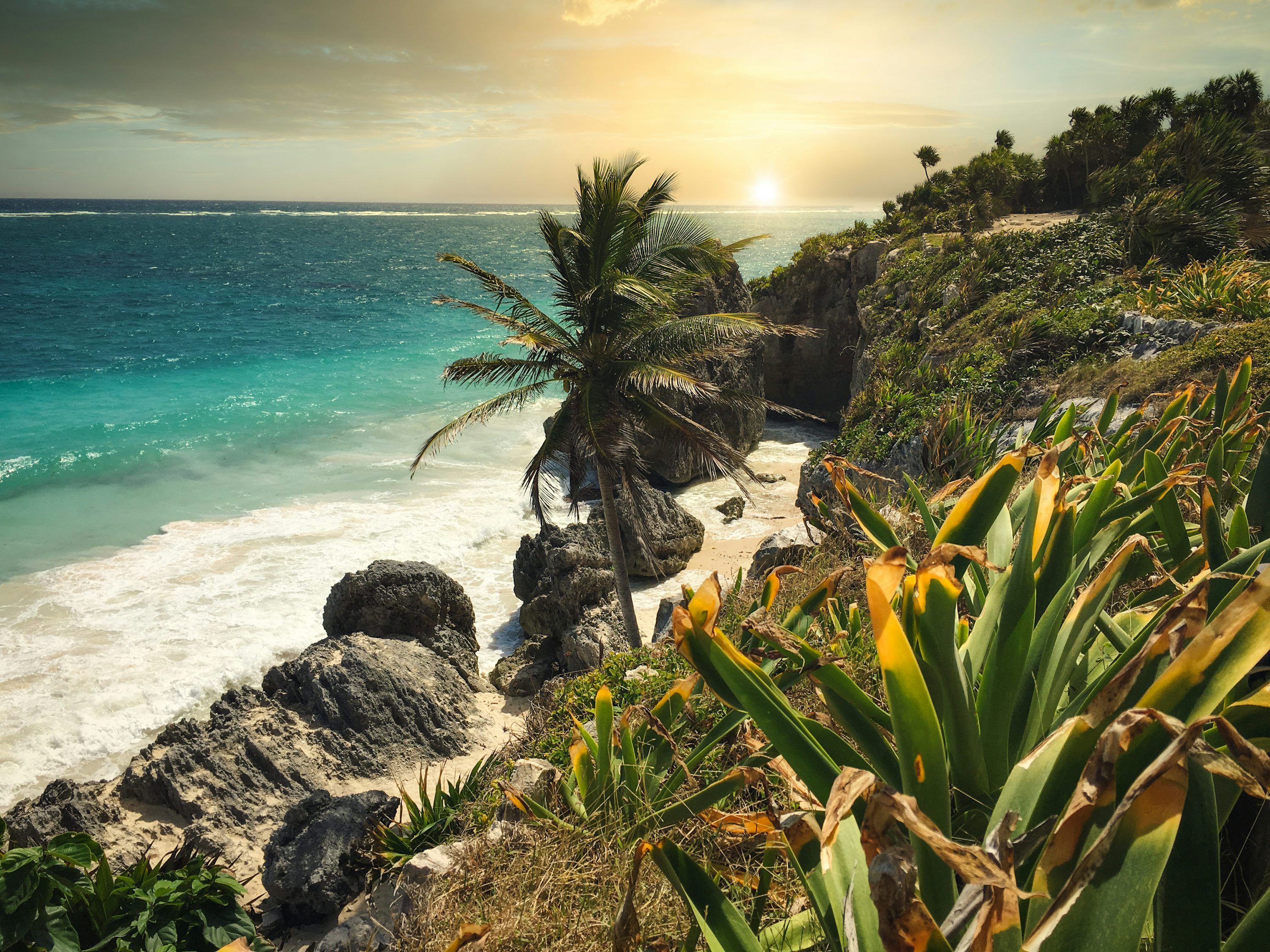 Tulum Beach Picture. Download Free Image
