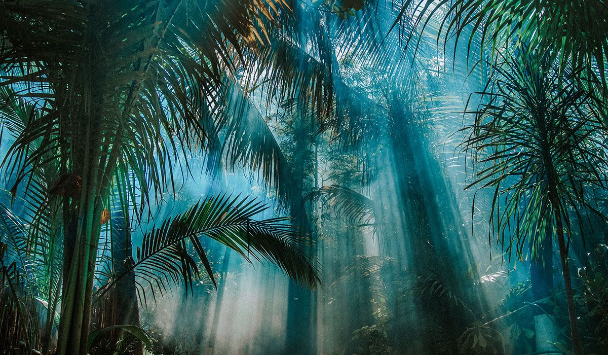 Something extraordinary is about to happen in Tulum