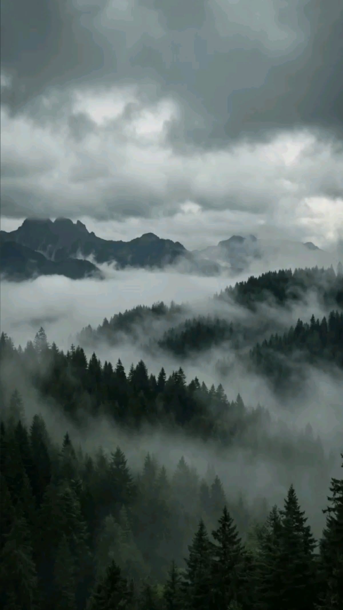 Tulum Strappy Crocs Sandal Crocs Amanora A Dark Misty Mountain Forest Covered In Fog With Pine Trees, Creating A Peaceful Aesthetic Phone Wallpaper