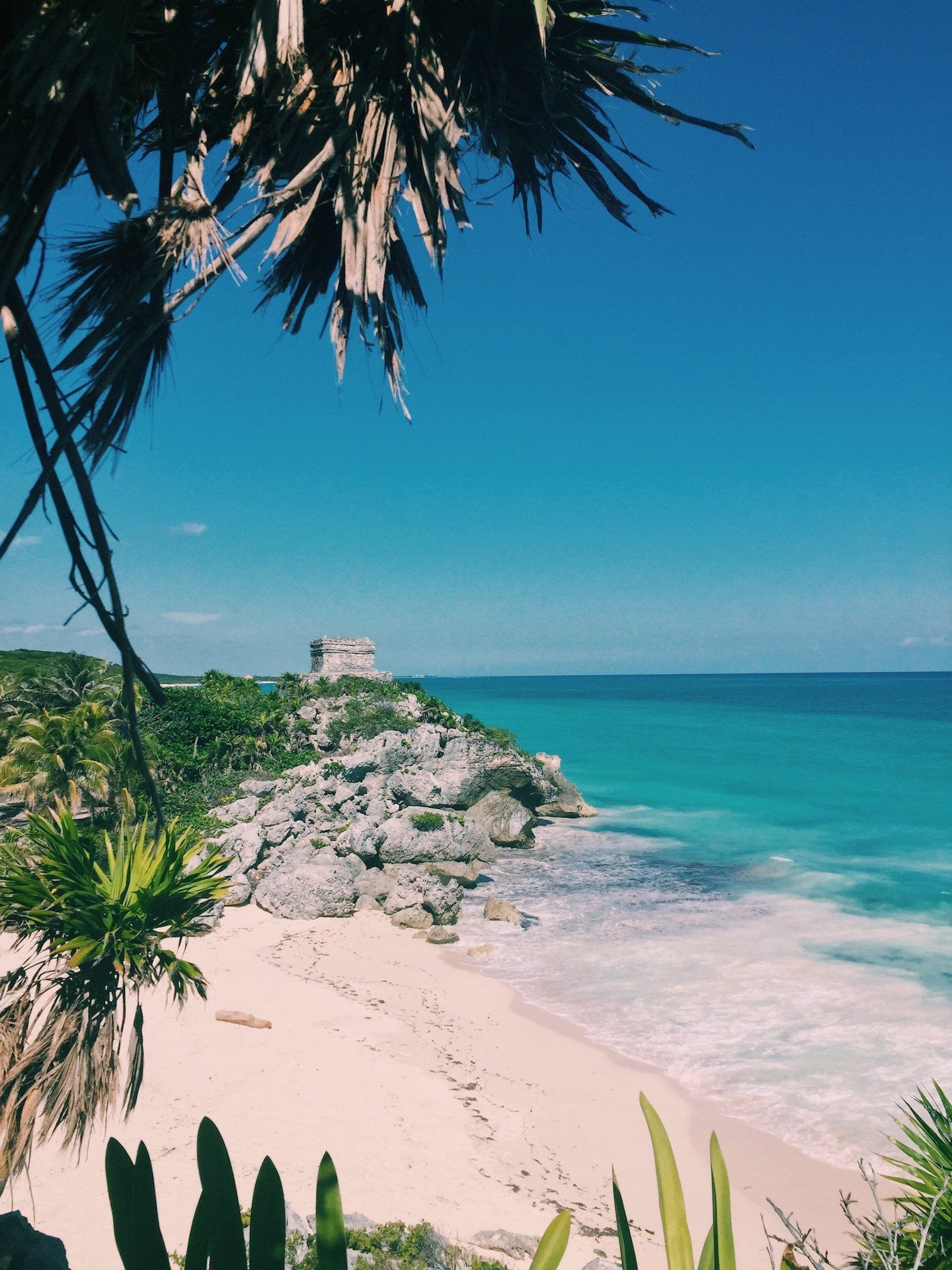 Your Mini Guide to Tulum, Mexico. The Pamplemousse Papers