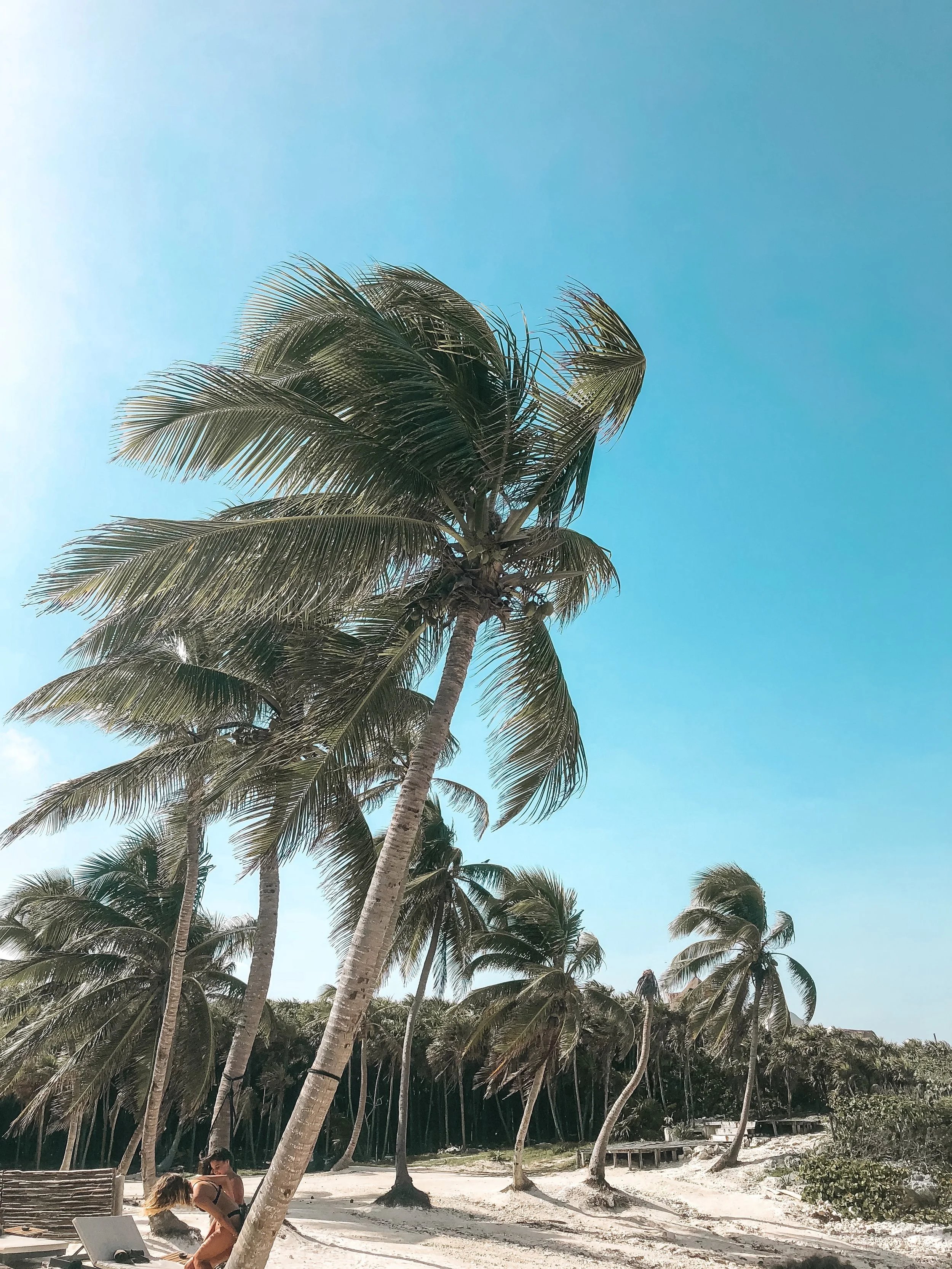 Travel Guide to Tulum