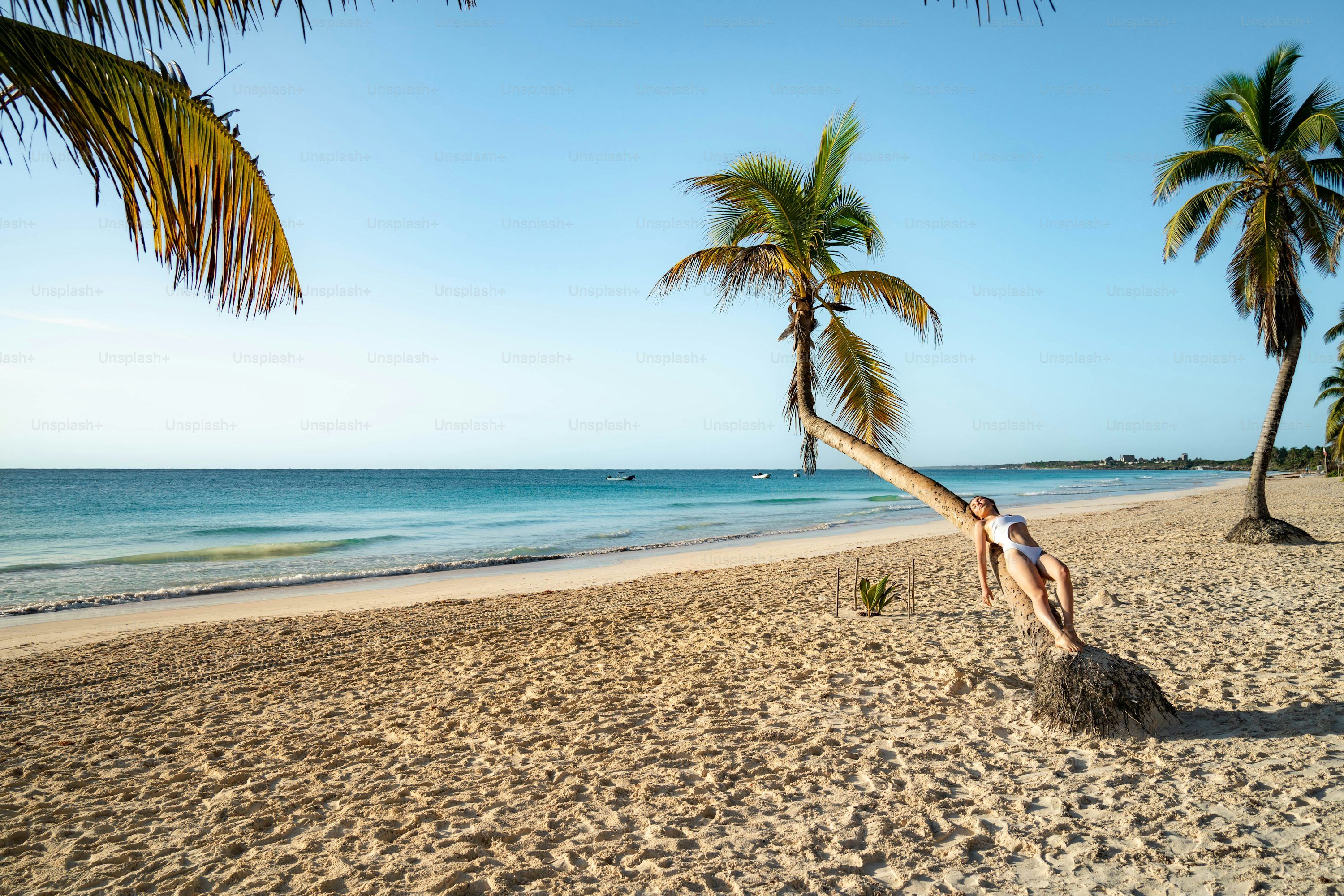 Tulum Beach Picture. Download Free Image