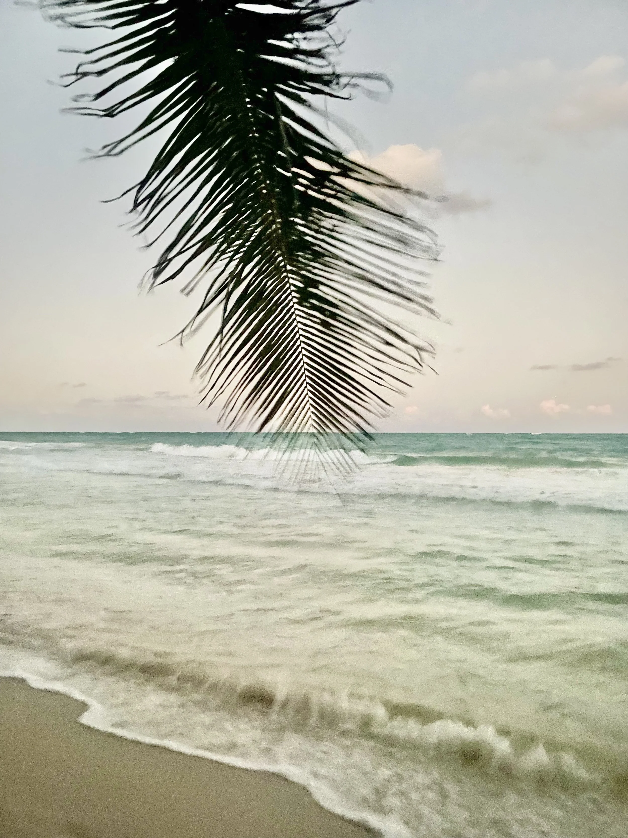Visit Tulum Like a Local