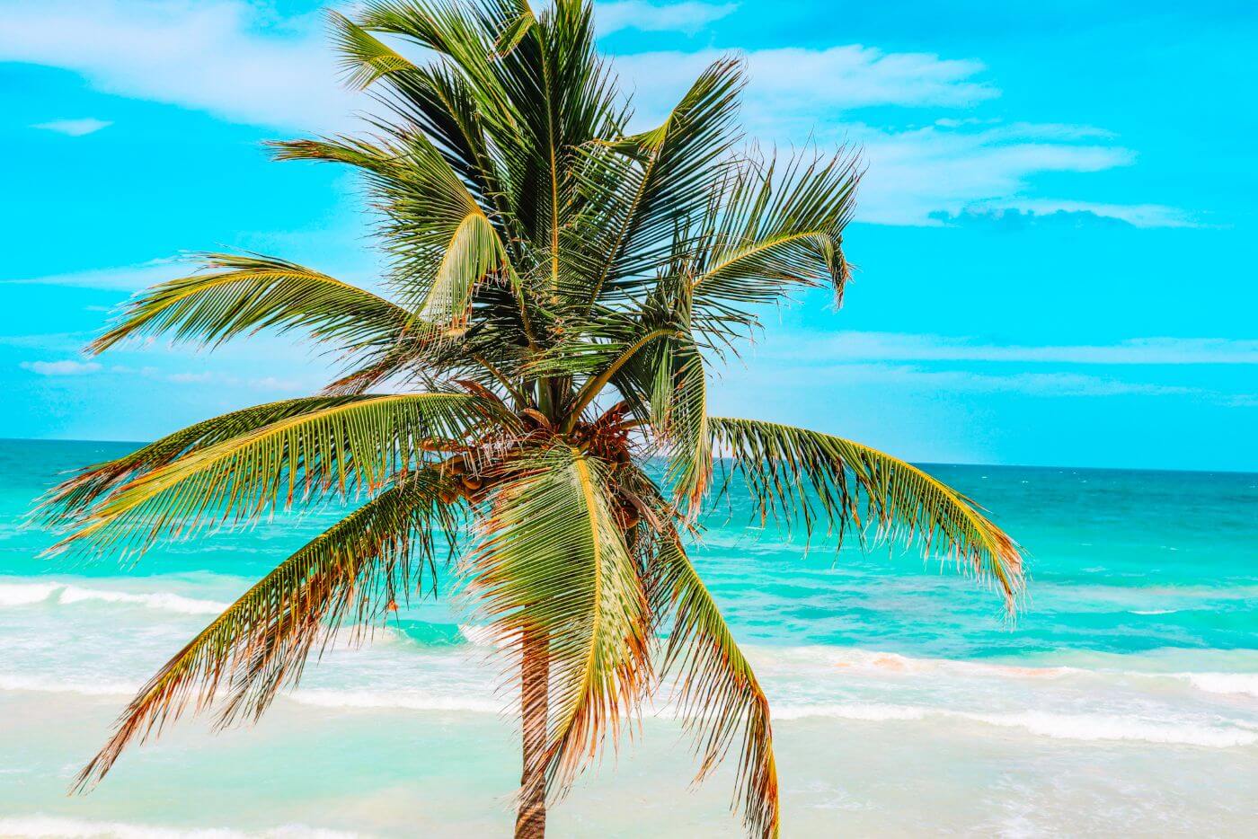 BEST Beaches In Tulum Mexico 2026 You'll Want To Visit!