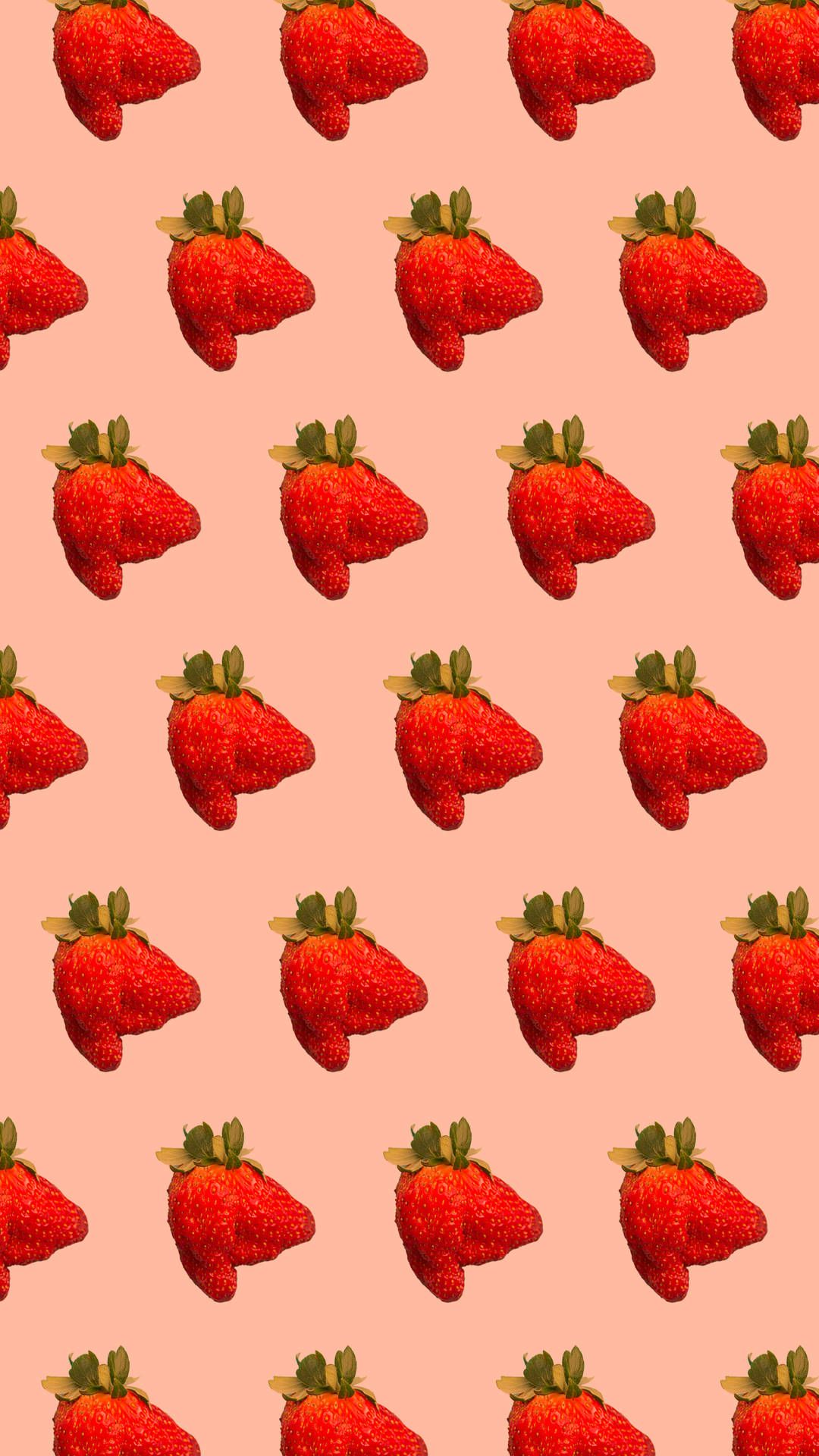 Ugly Vs Cute Wallpaper