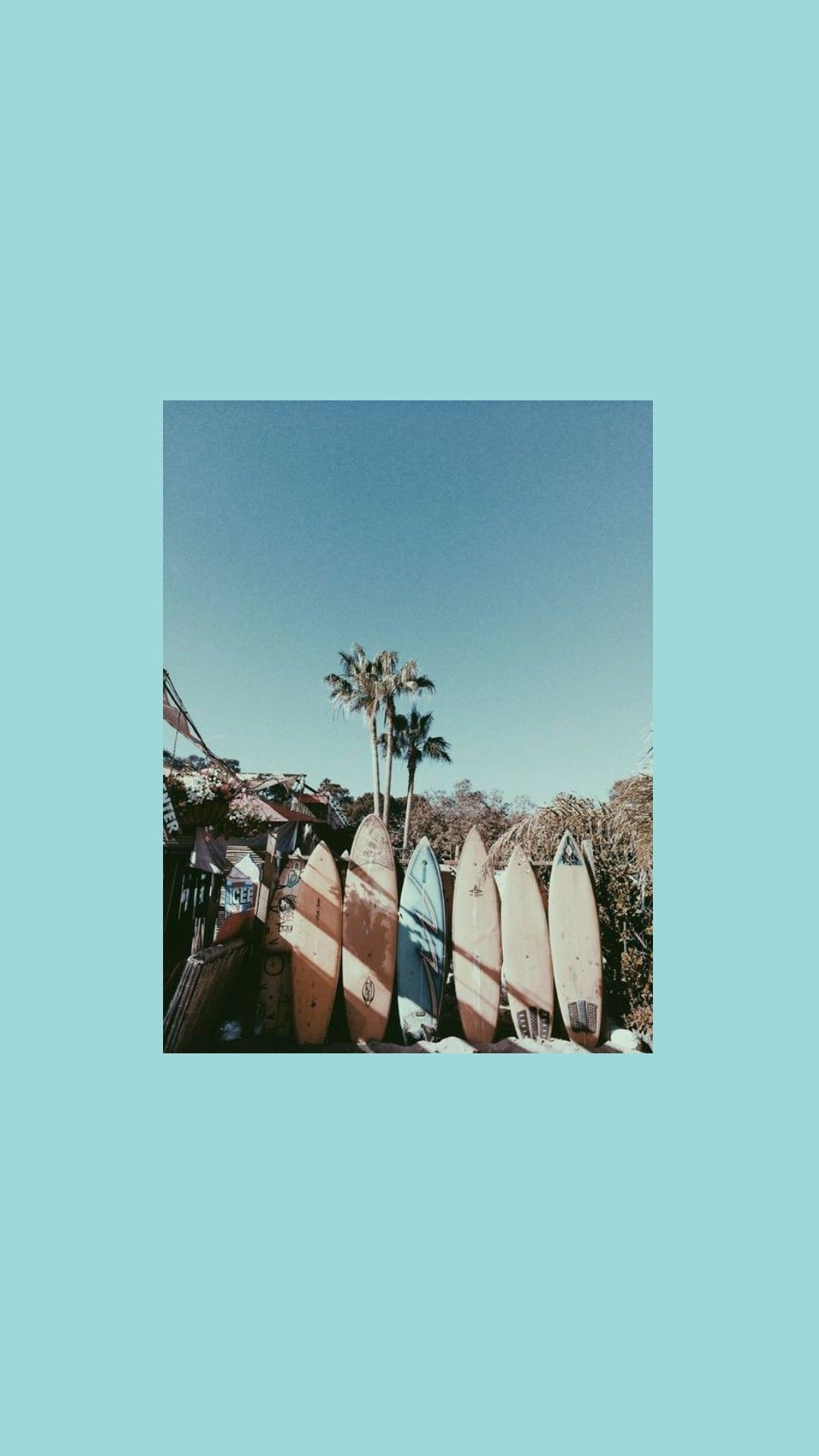 A row of surfboards lean against a wall, palm trees in the background. - Surf