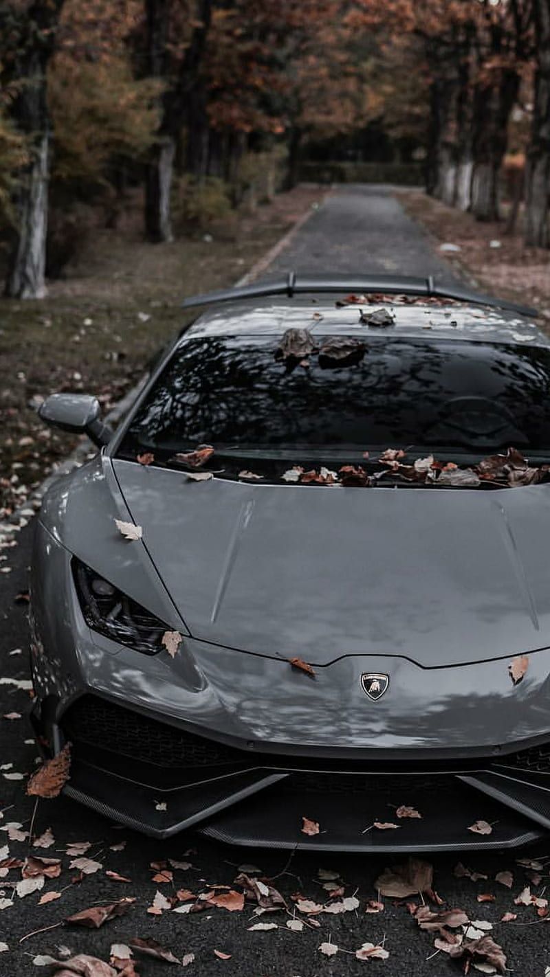 Autumn lambo, lamborghini, huracan, car, hypercar, supercar sports, america, HD phone wallpaper