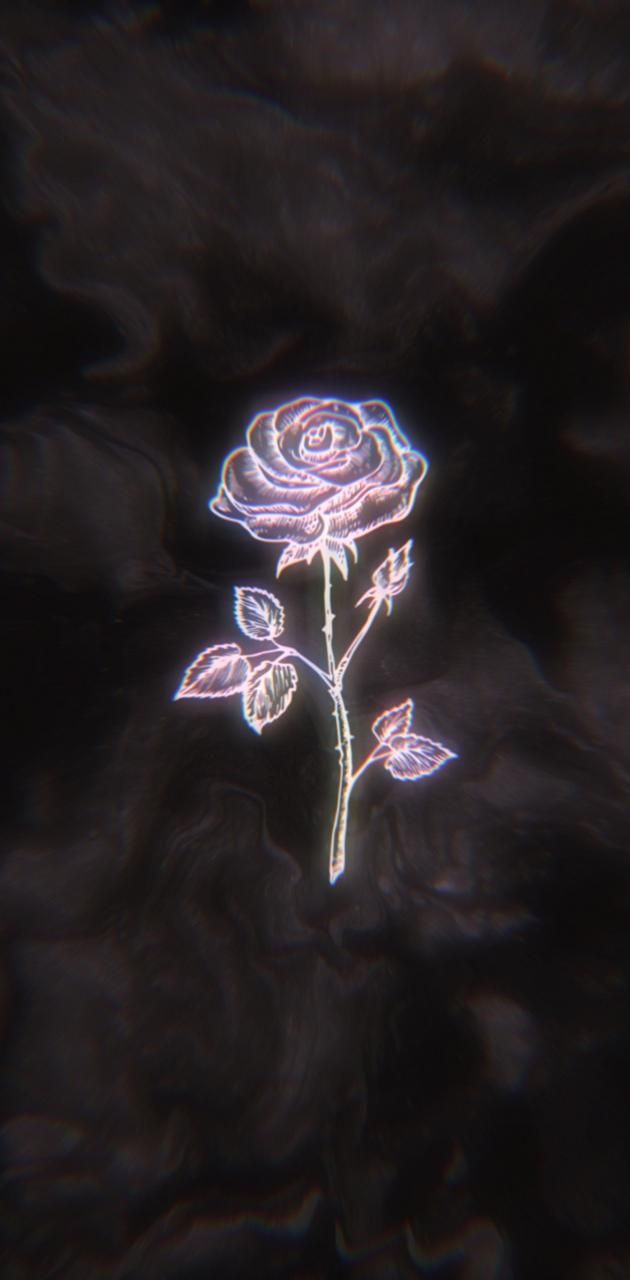 Aesthetic background of a neon rose on a dark background - Roses, black rose
