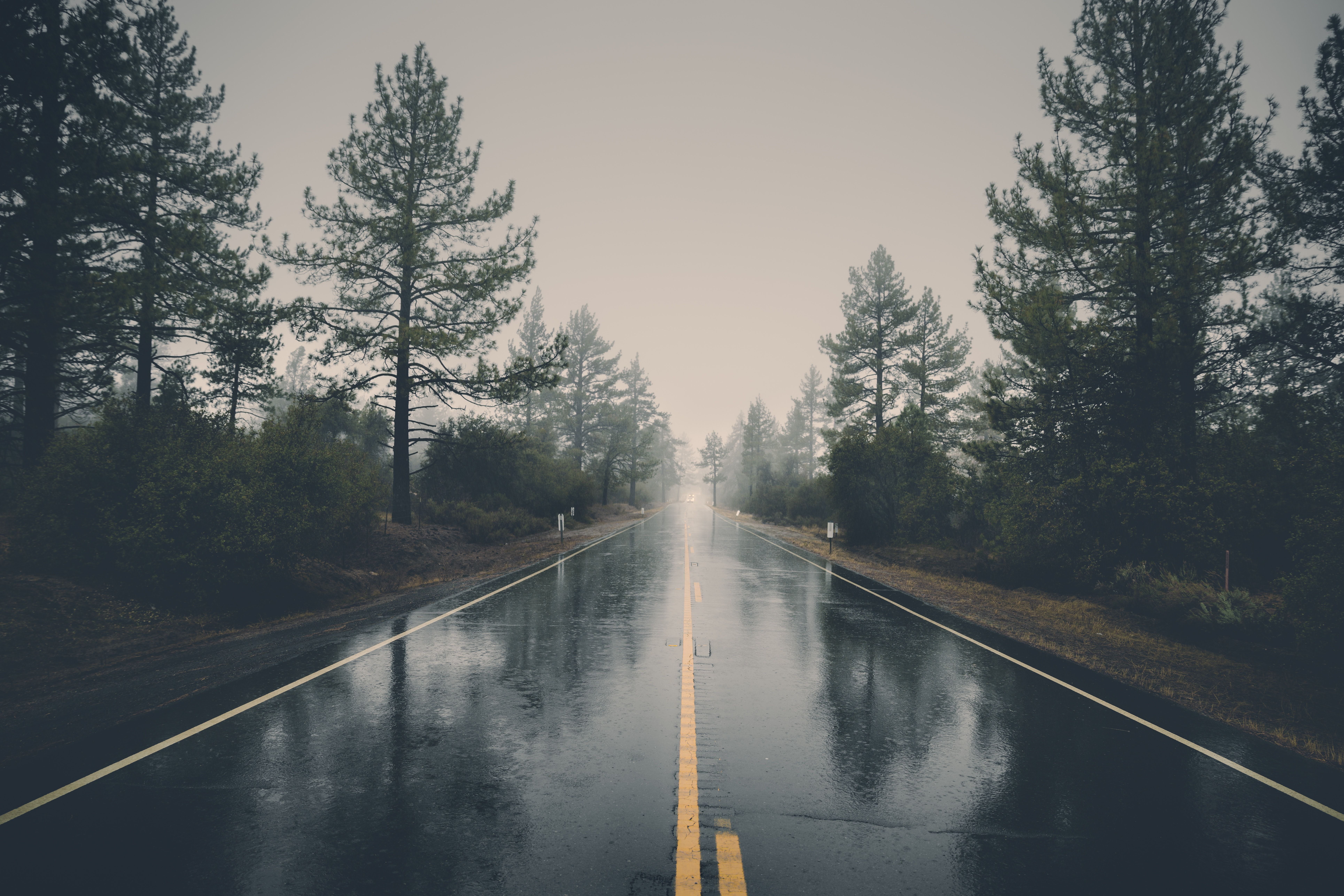 A road that is wet and empty - Rain