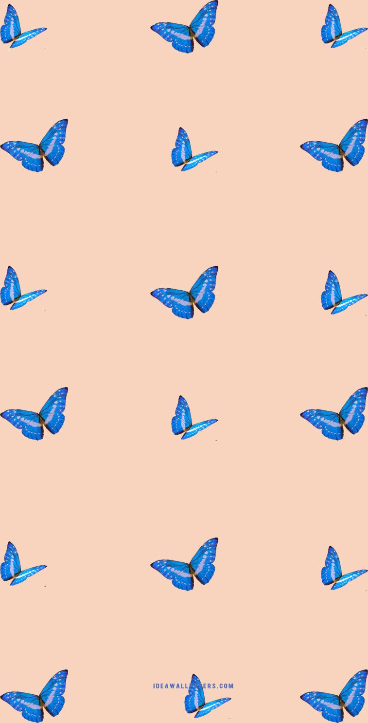 Butterfly on light peach background Wallpaper