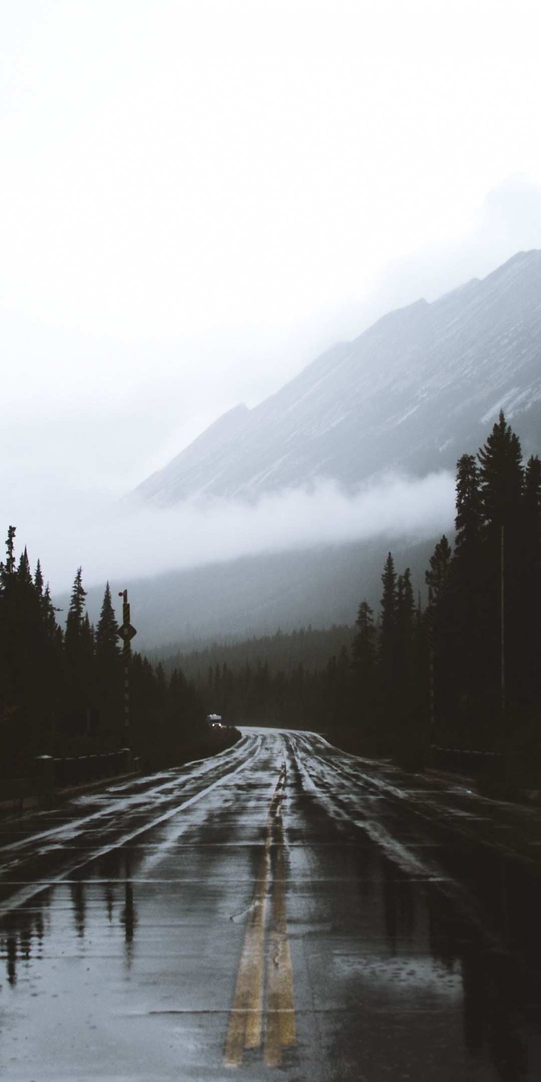 A road that is wet and empty - Rain, forest, fog, road