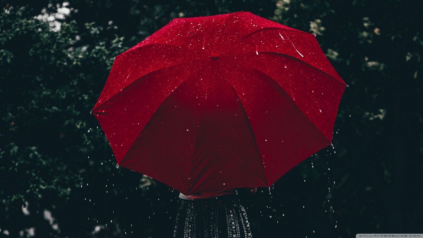 A person holding a red umbrella in the rain. - Rain