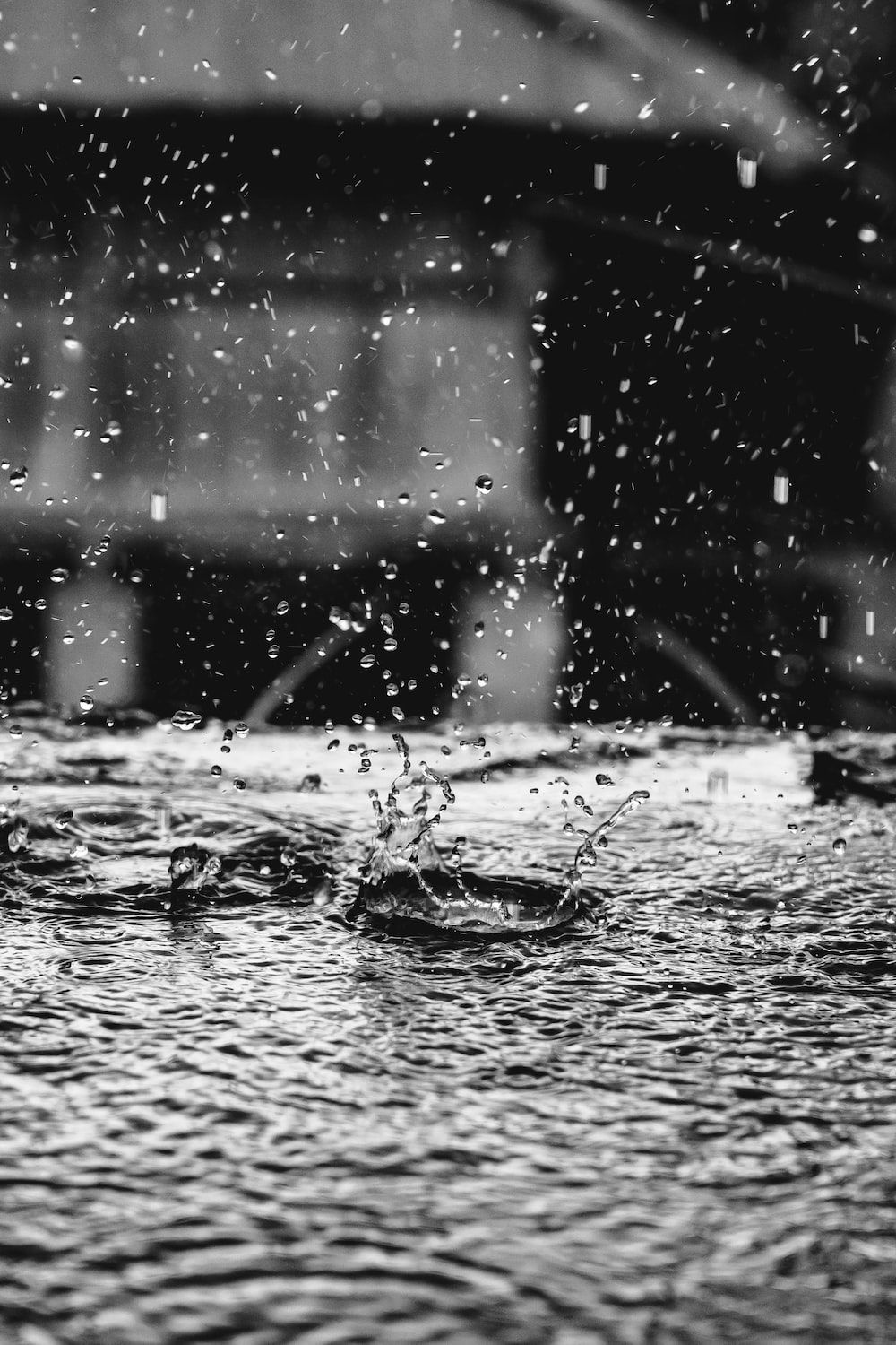 Black and white photo of rain drops on water - Rain