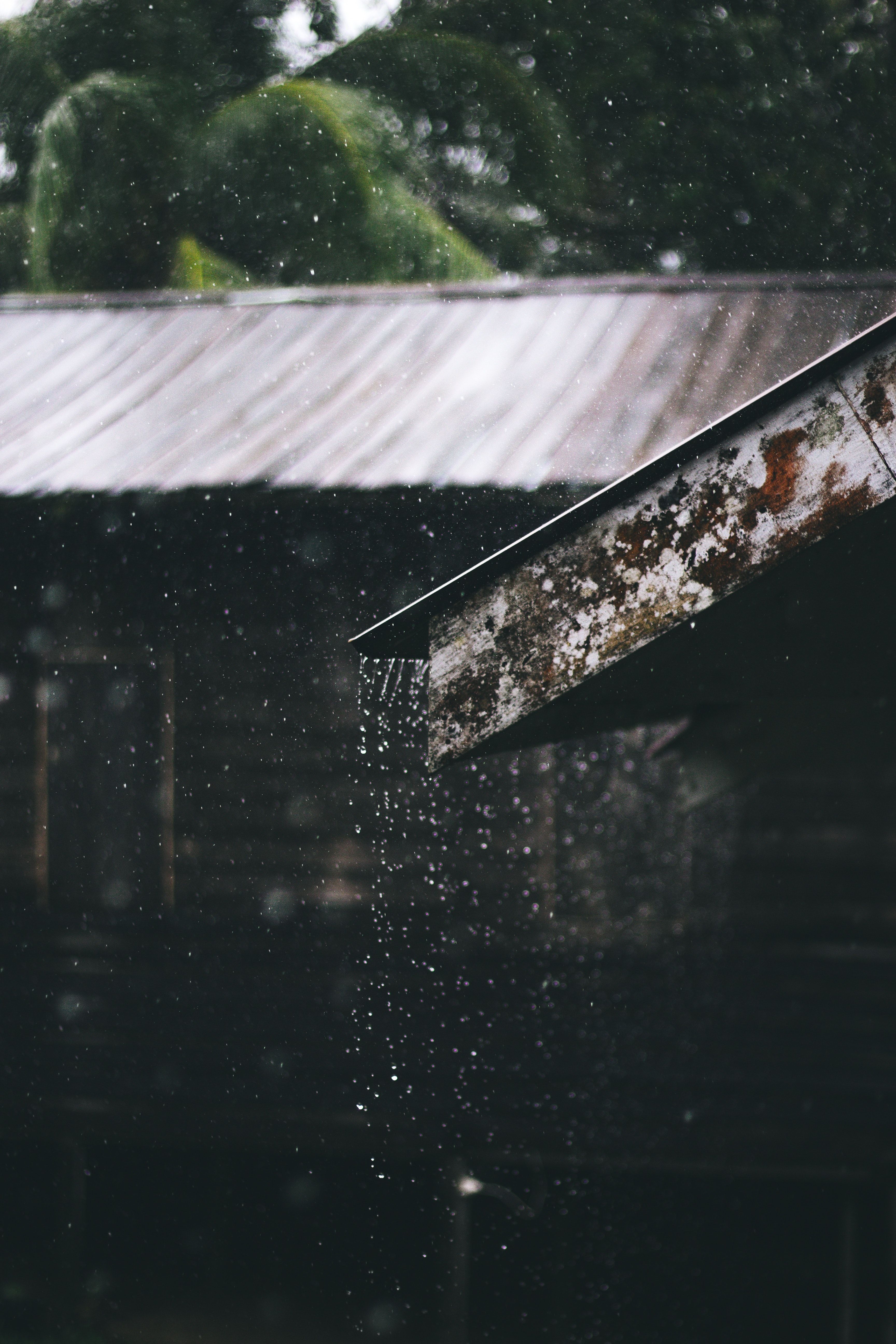 A house with a metal roof with water pouring down the edge of the roof. - Rain