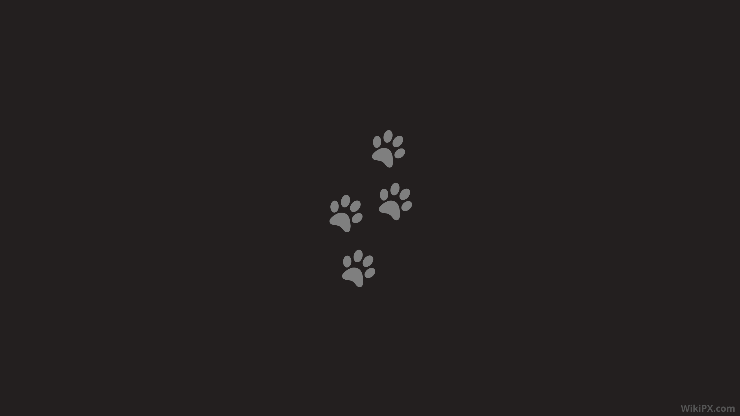 A black background with four paw prints in the middle. - Dog