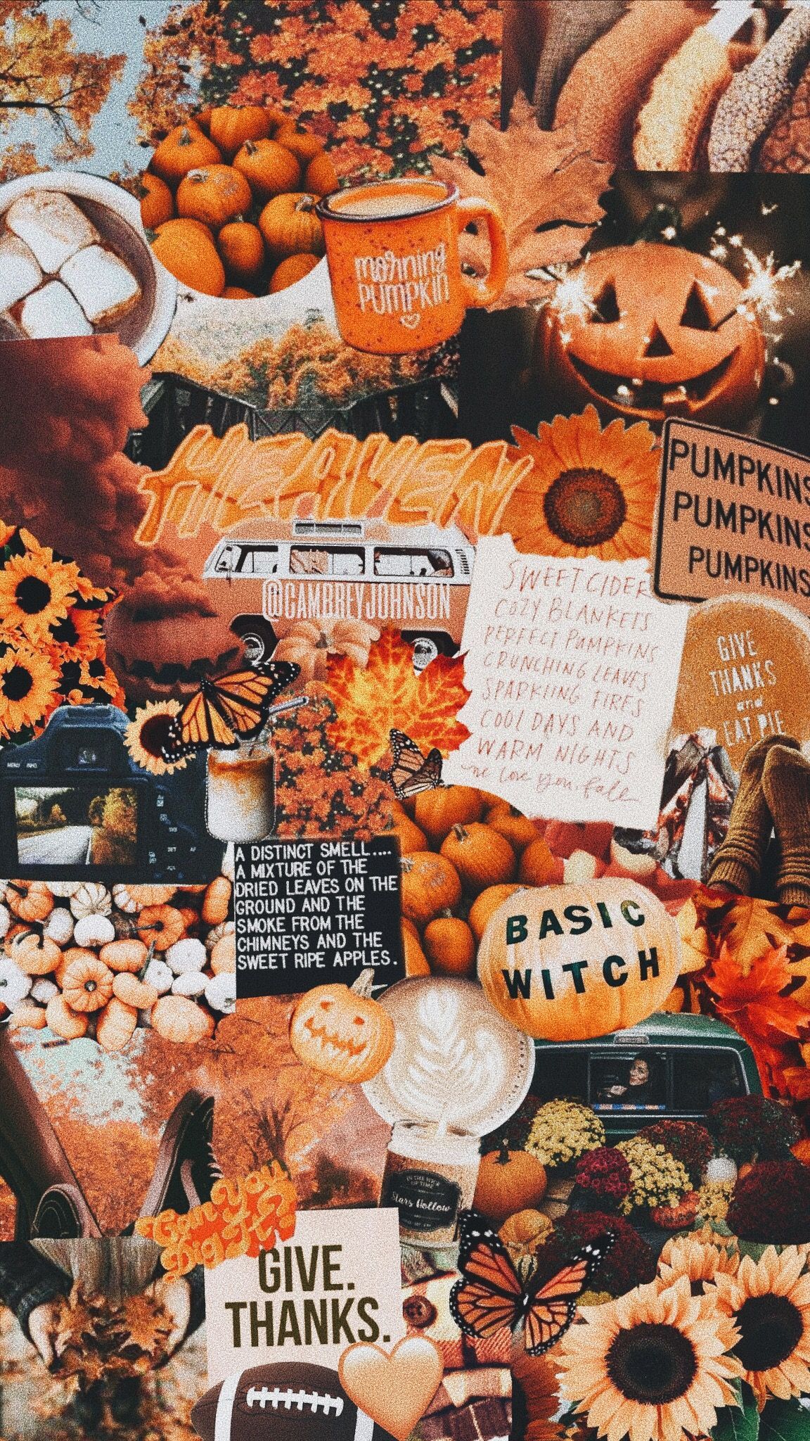 A collage of pictures with fall themes - Fall, collage, pumpkin, cute fall, fall iPhone, Halloween, cute Halloween, warm, vintage fall, October