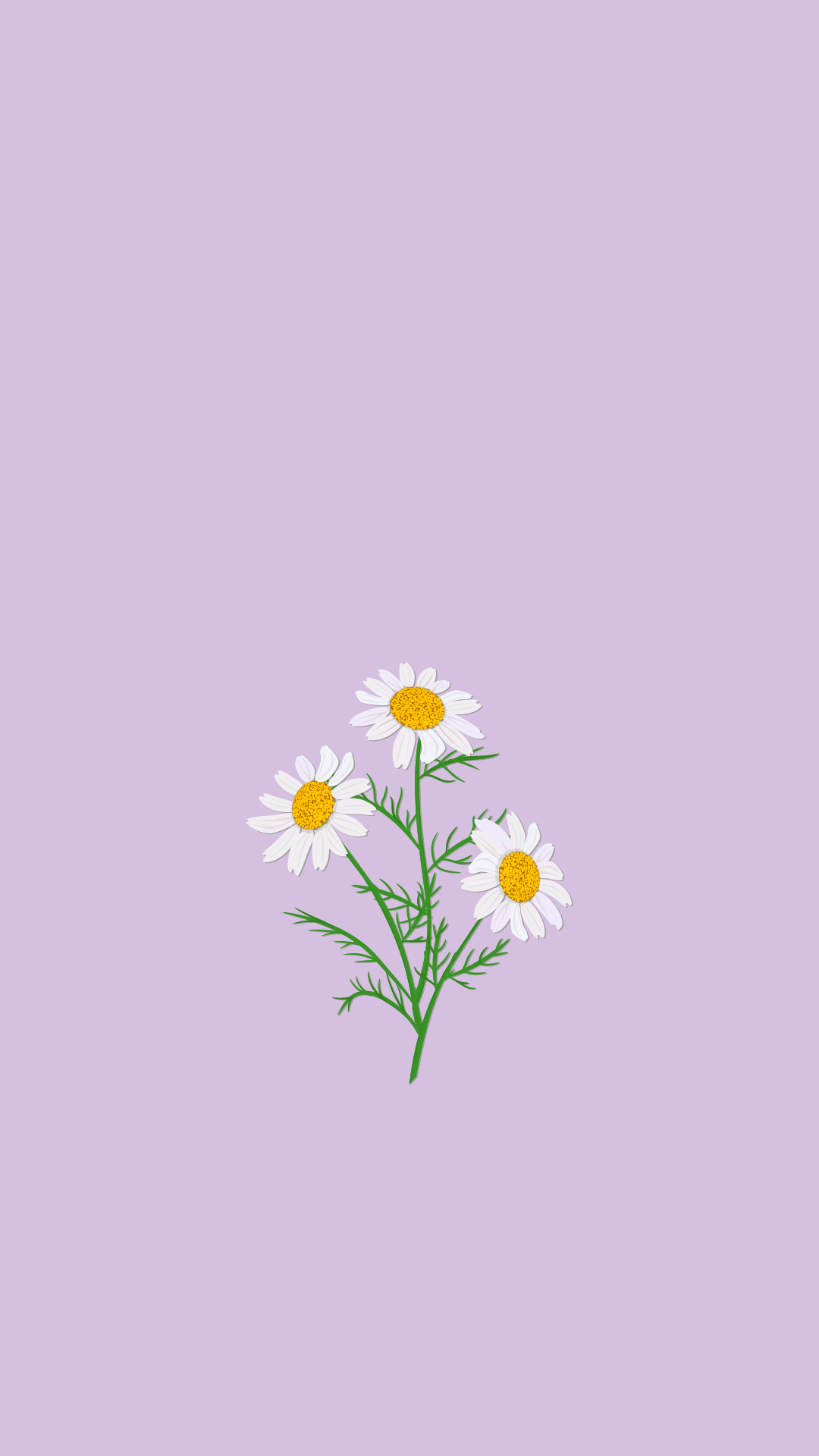 A daisy on purple background - Minimalist, phone, spring, daisy, pretty, cute