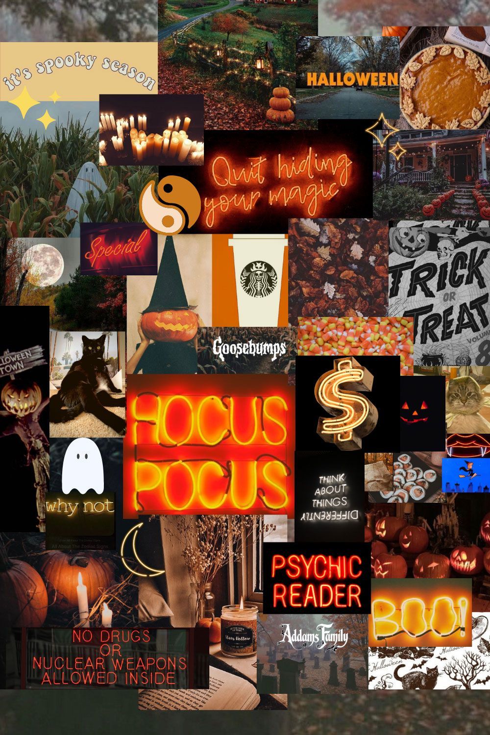 A collage of Halloween images including pumpkins, a ghost, and coffee. - Cute Halloween, October, November, spooky, Halloween, magic