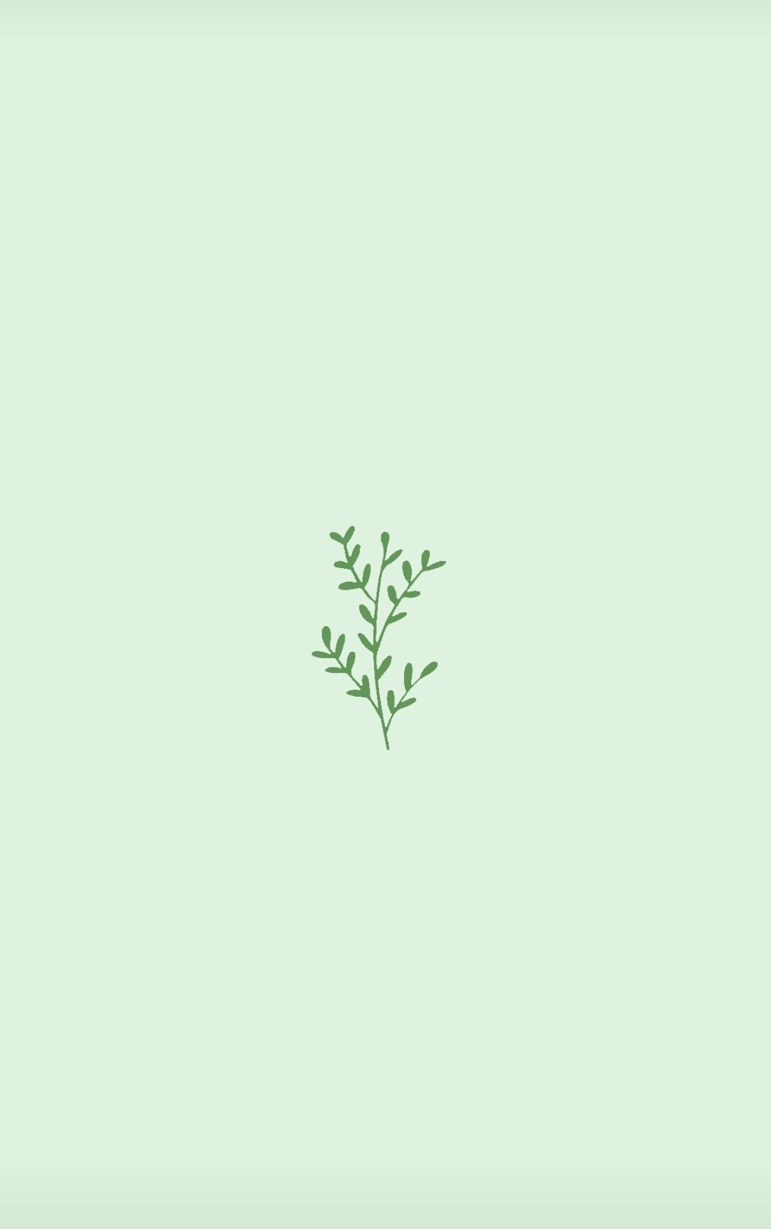 A green leaf on top of white background - Green, minimalist, pastel green, simple